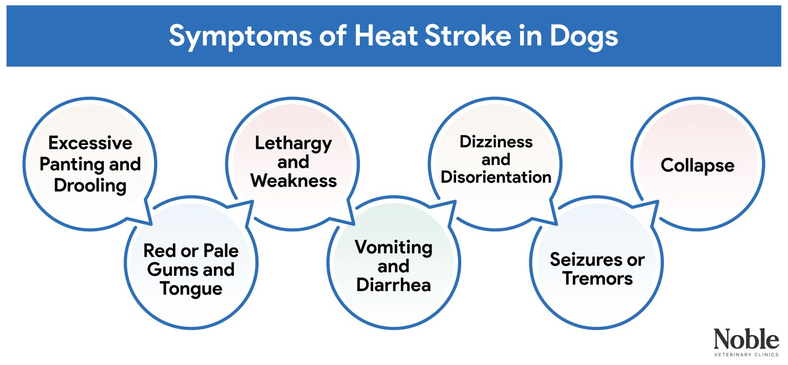 An infographic showing the common signs of heat stroke in dogs.
