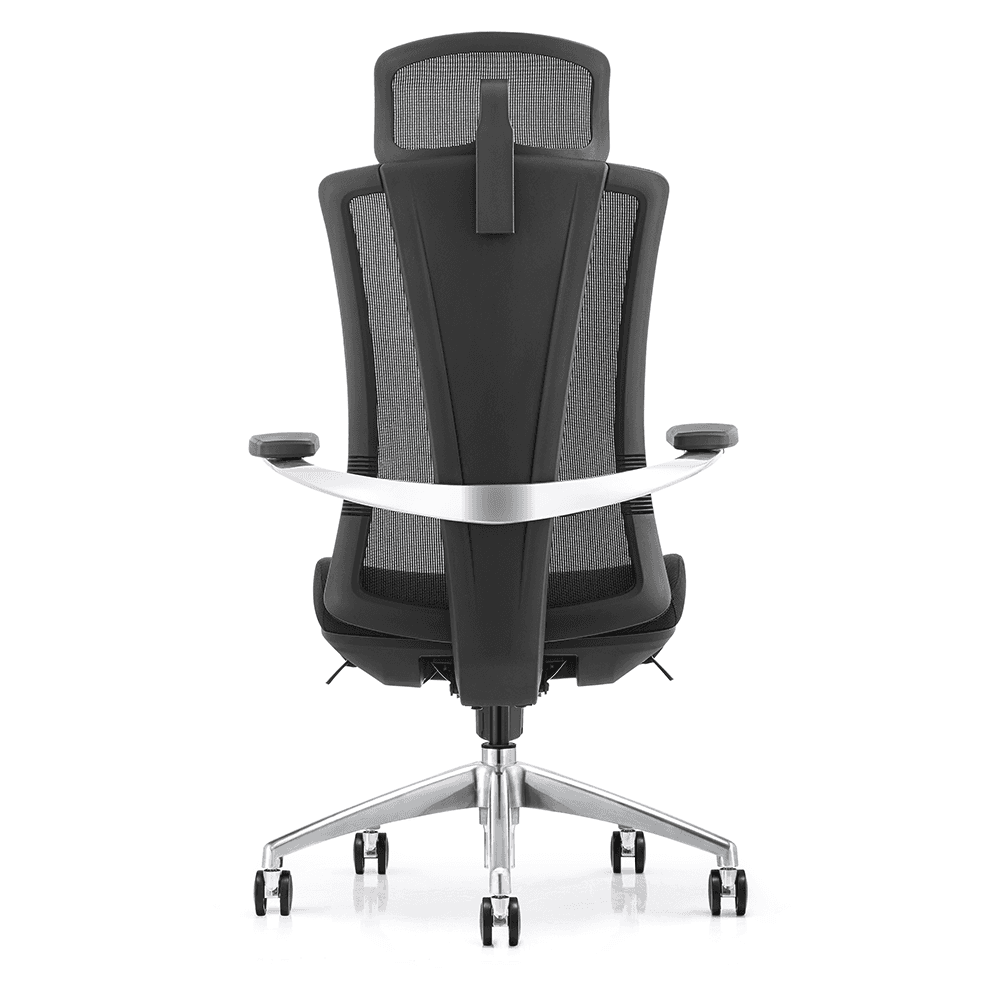 Rear view of a black ergonomic office chair featuring a Y-shaped back support frame, breathable mesh backrest, and a silver curved lumbar accent on a 5-star aluminum base.