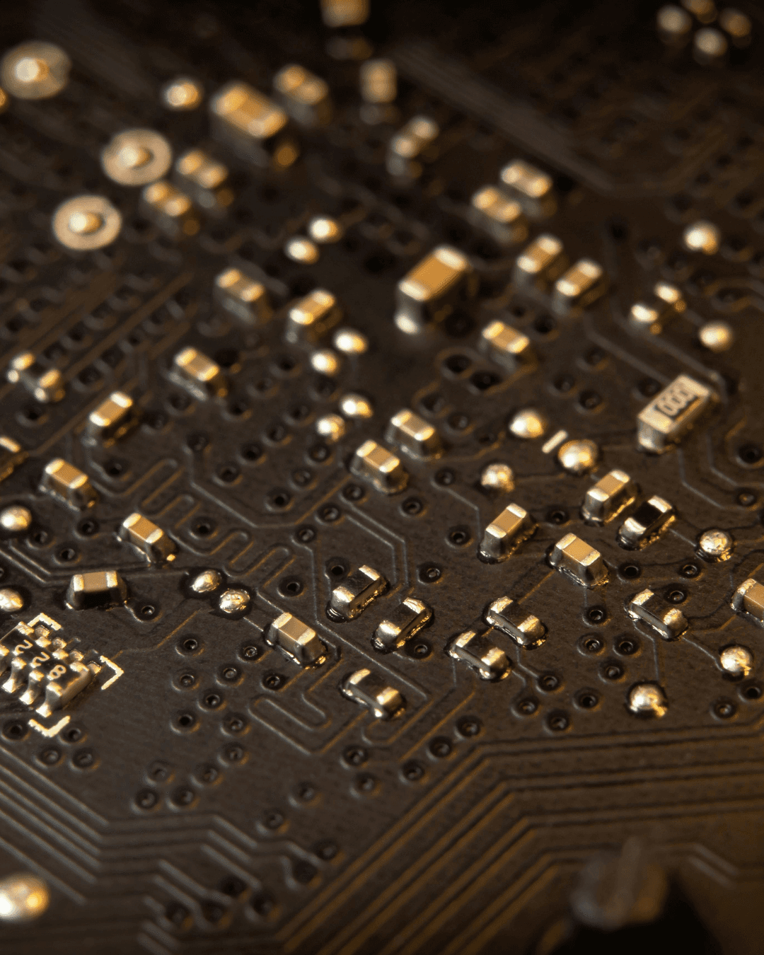 Portrait of portfolio creator – back view