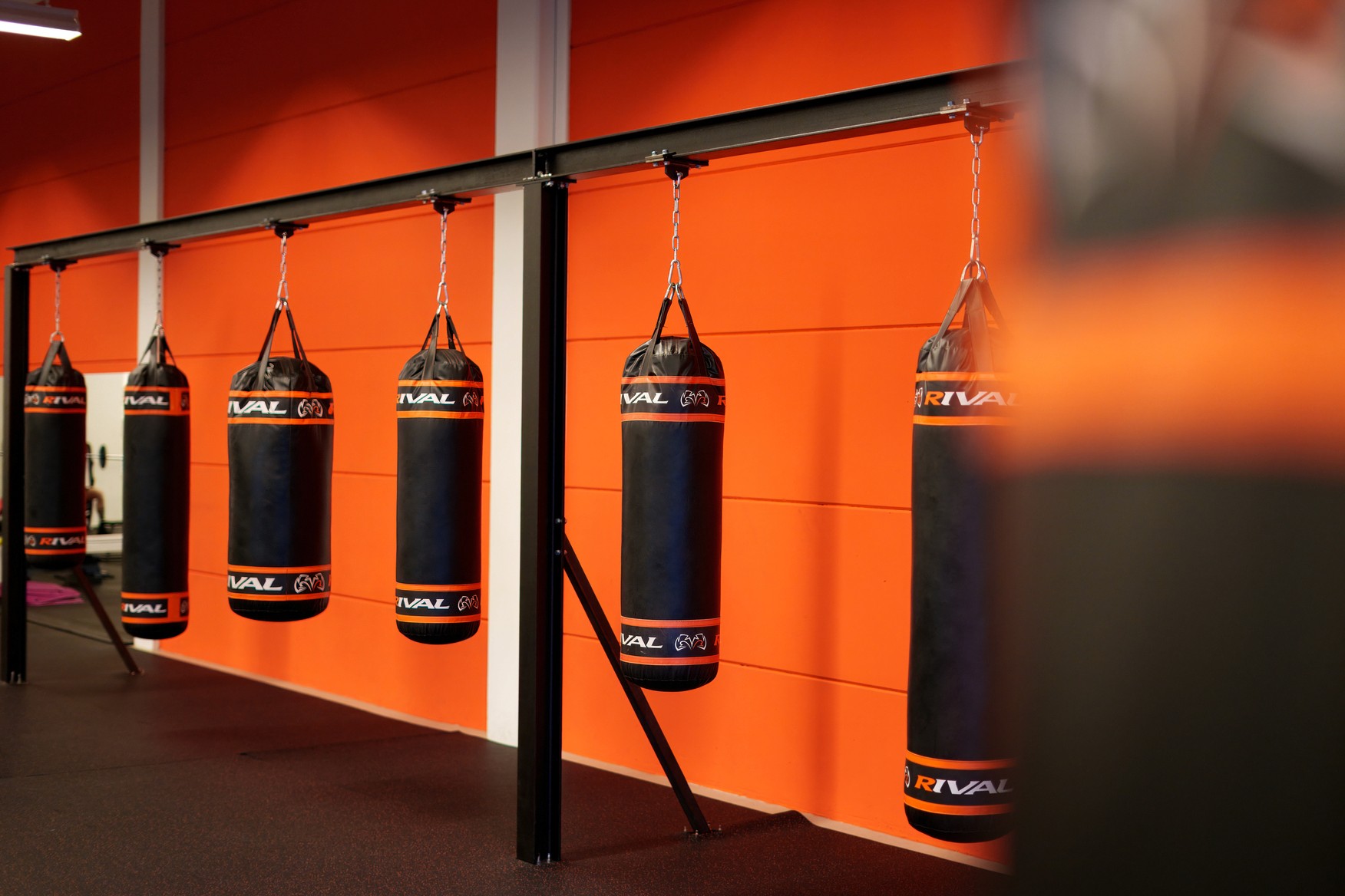 Bokshouding aanleren Leiden