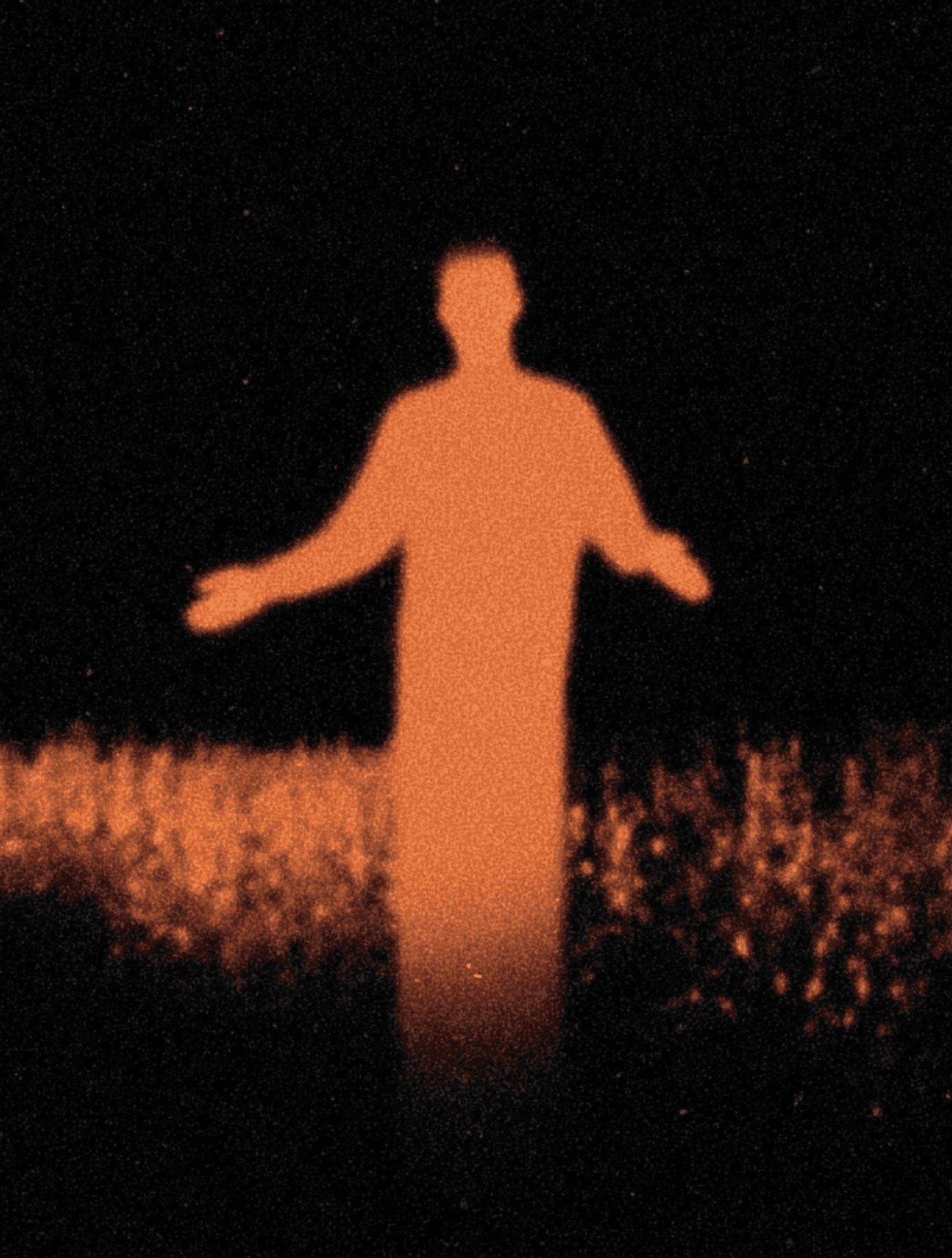 Exploring presence and disappearance through light