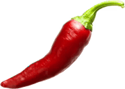 Sticker illustration of a red chili pepper with a green stem and white outline.