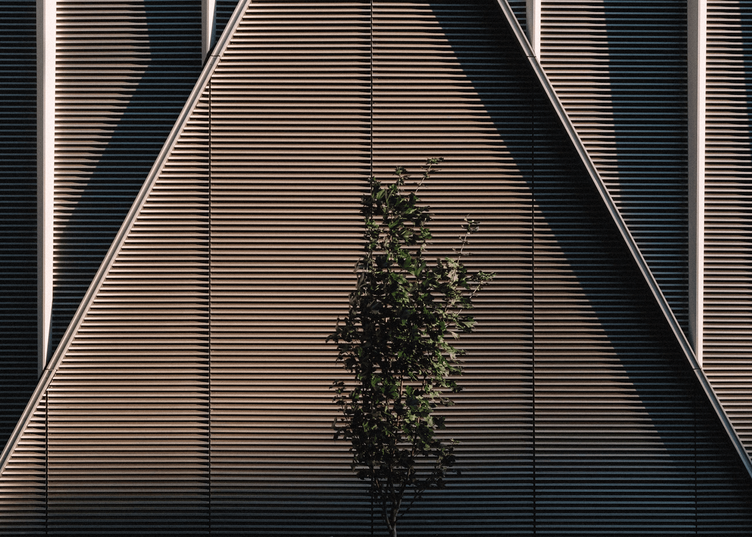BG