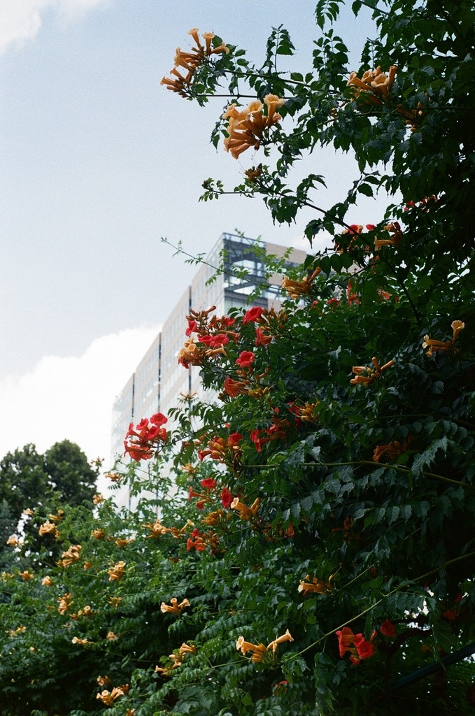 a cell phone leaning on a ledge