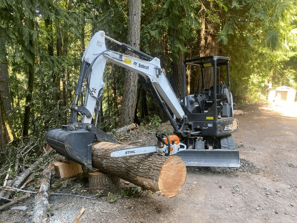 Land clearing and tree removal services using a Bobcat in Canby