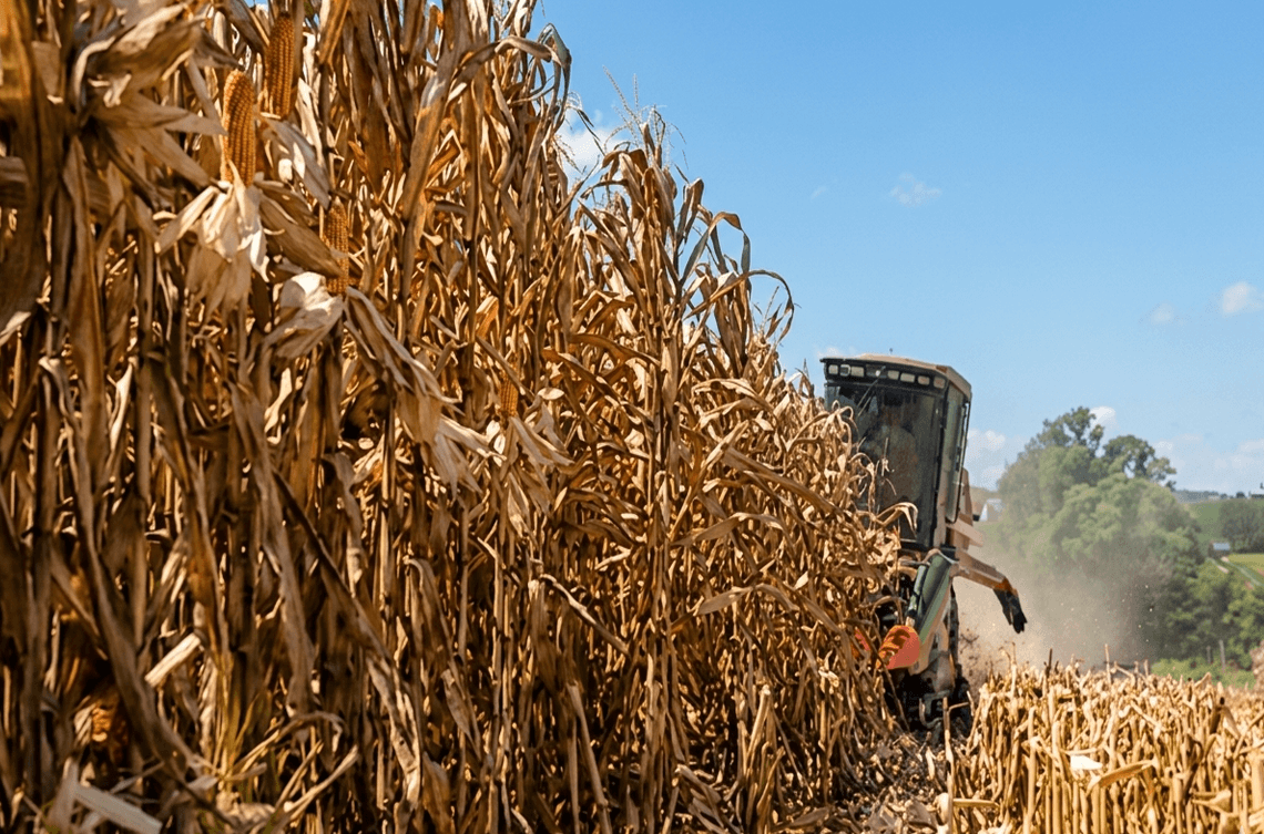 Produção Agrícola