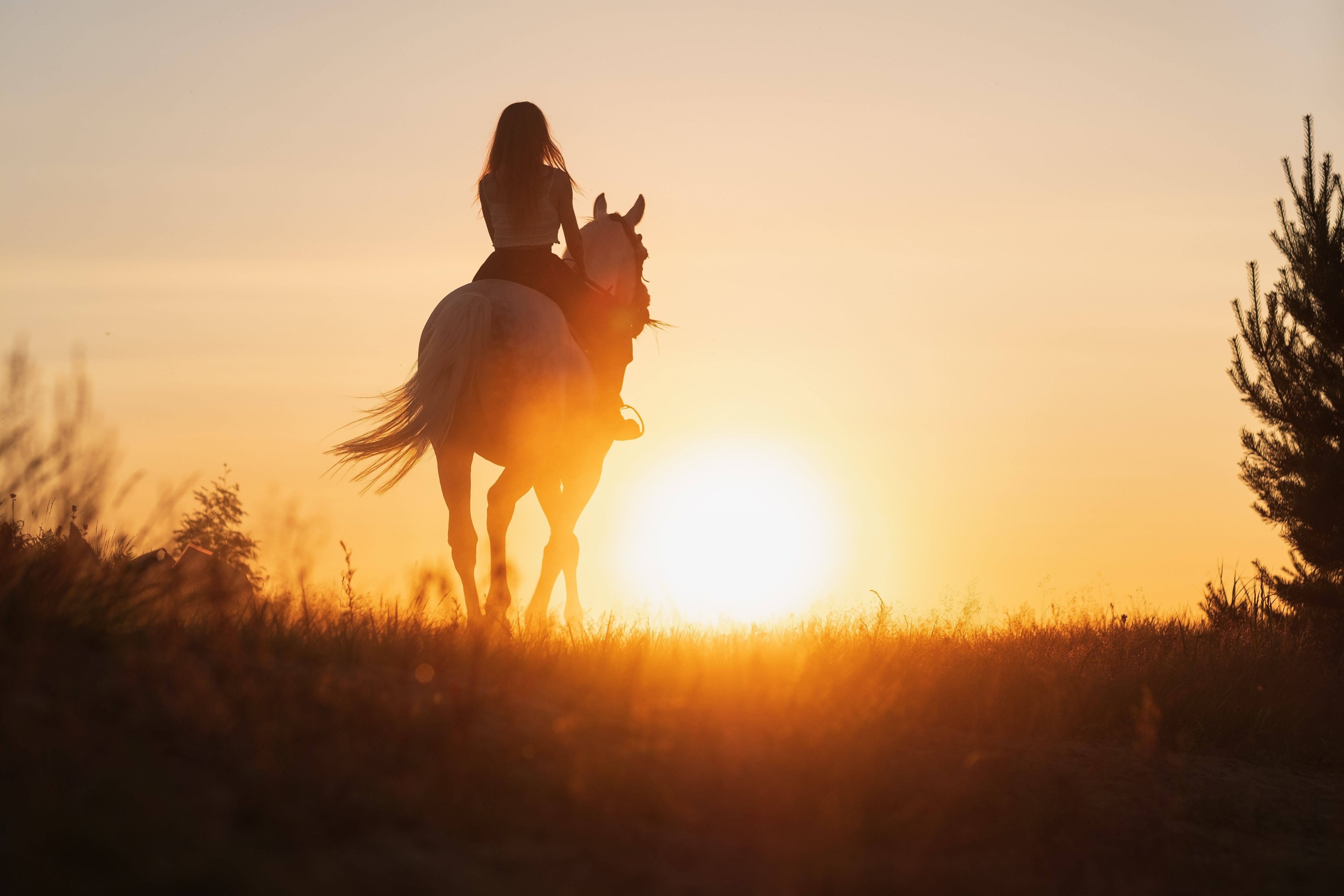 A horsewoman standing quietly beside a horse in a barn