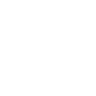 Mobile scan Icon
