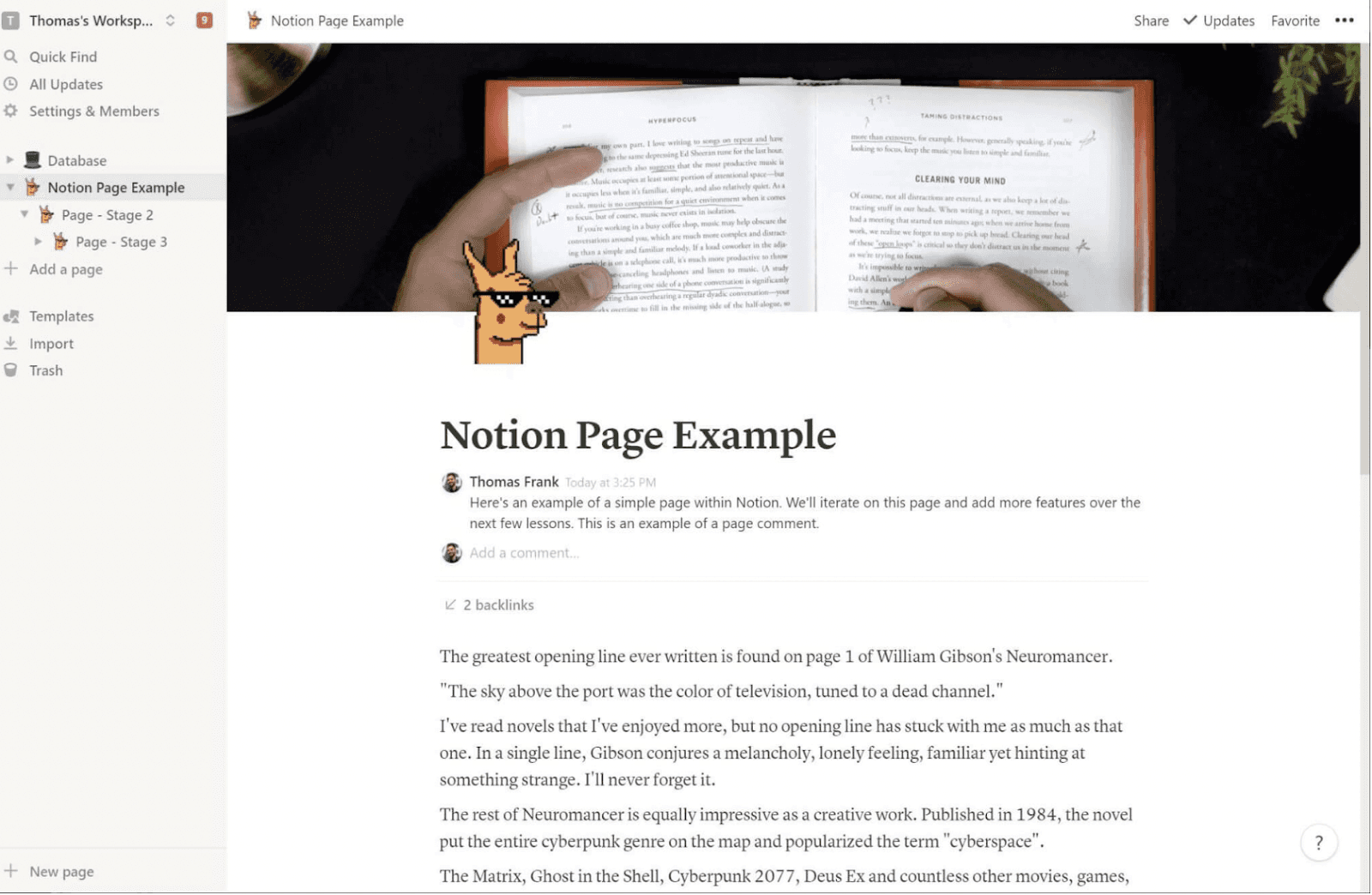 An example of the page example feature from Notion