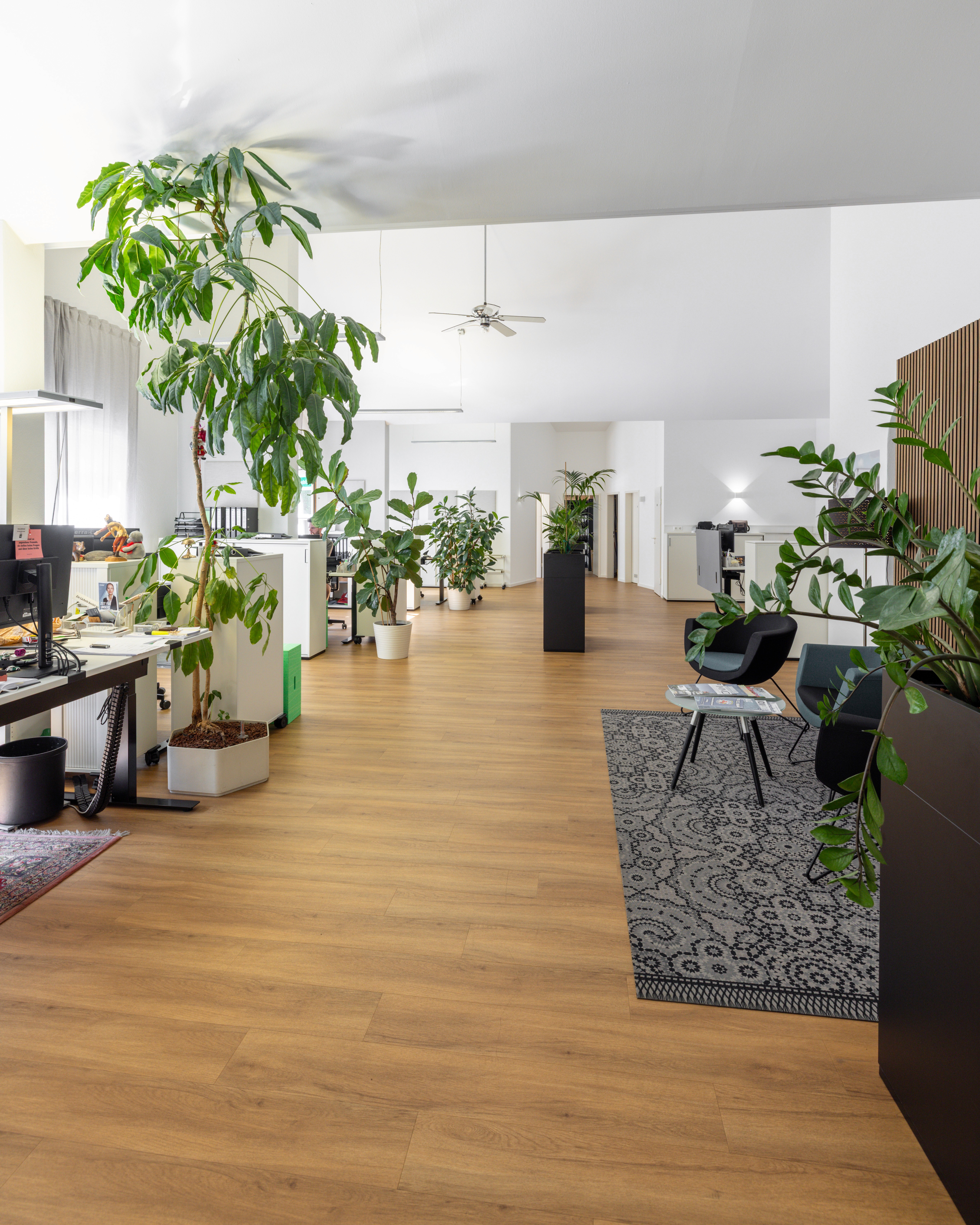 Blick in die Büroräume von VID-Immobilien während der Projektumsetzung