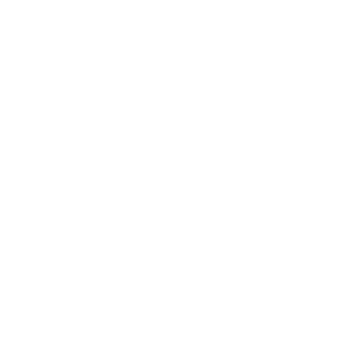 Globe icon representing international hiring, global reach, or cross-border expansion.