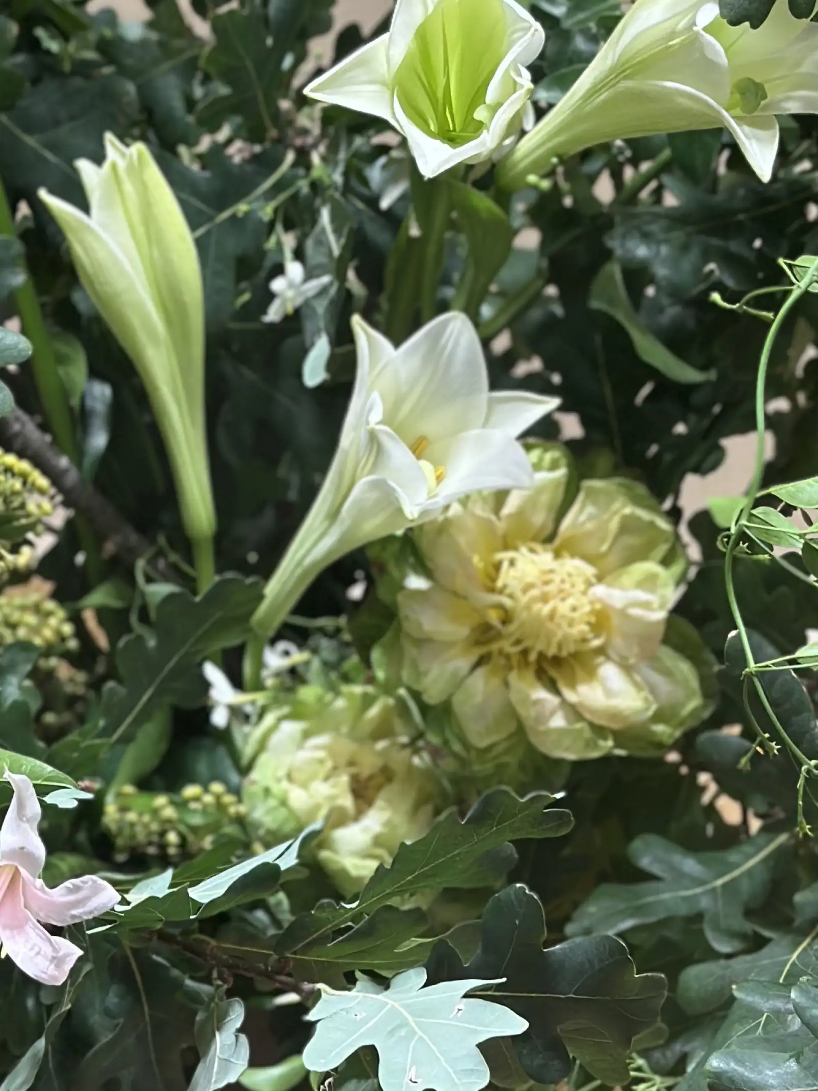 Detalle de flores blancas y verdes en composición botánica elegante para proyectos de decoración o escaparatismo.