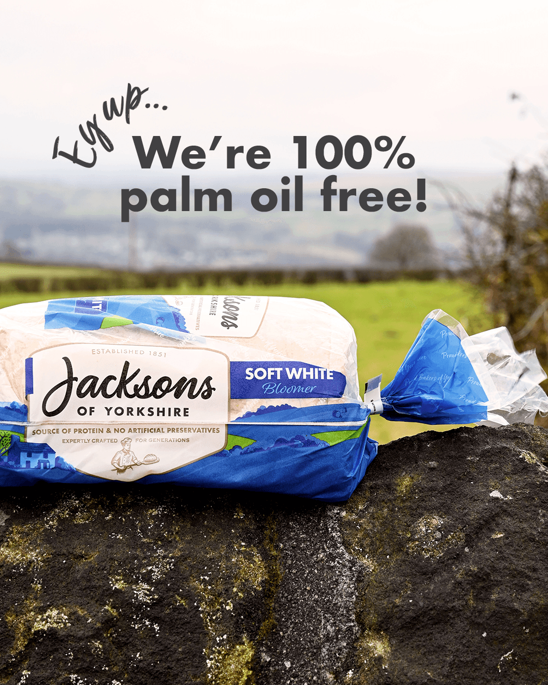 Loaf of bread outdoors