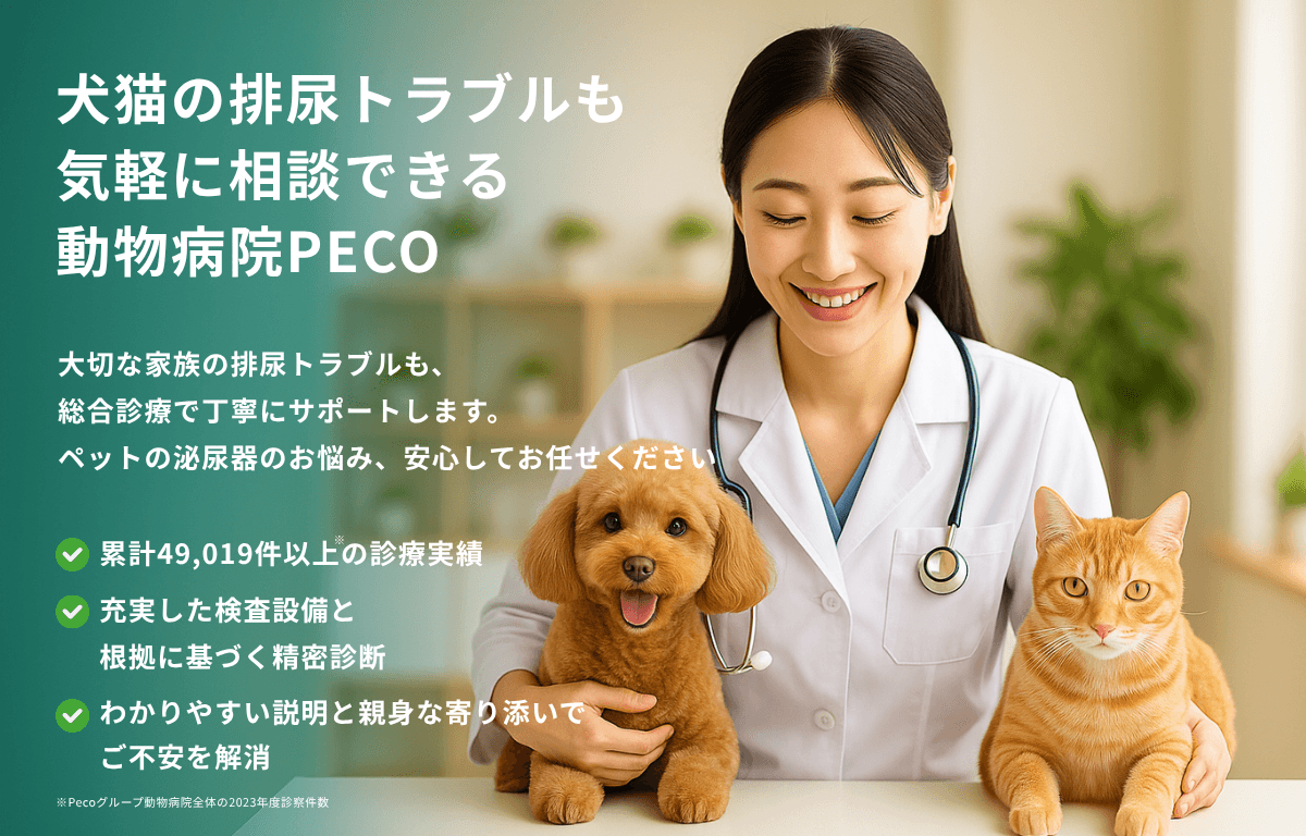 犬猫の排尿トラブルも気軽に相談できる動物病院PECO
