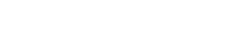 Apeks logo