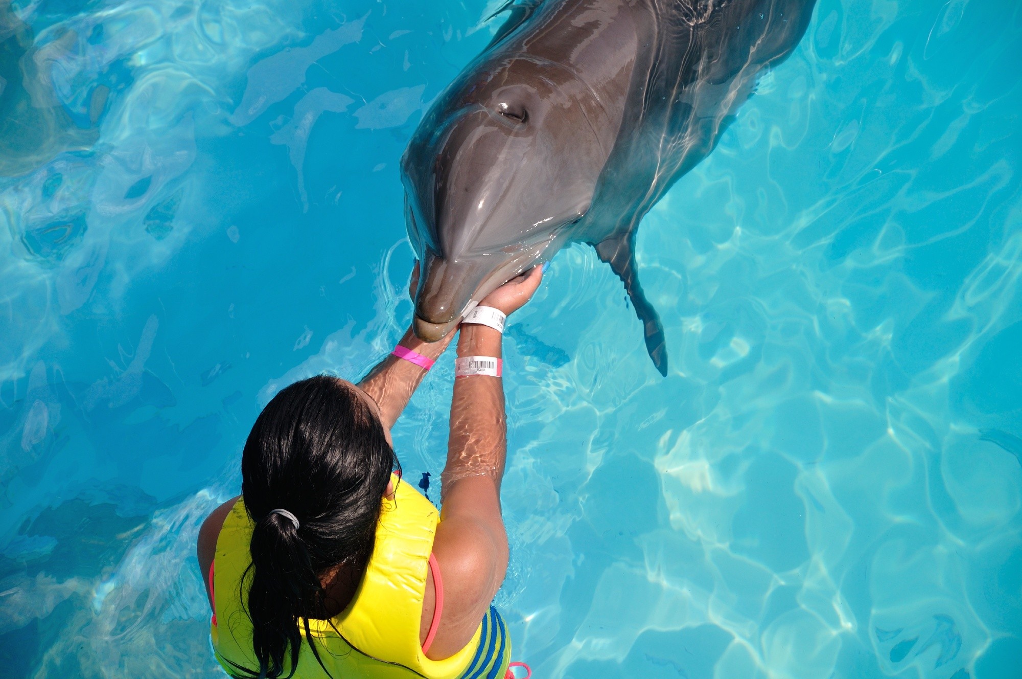 island under white sky
