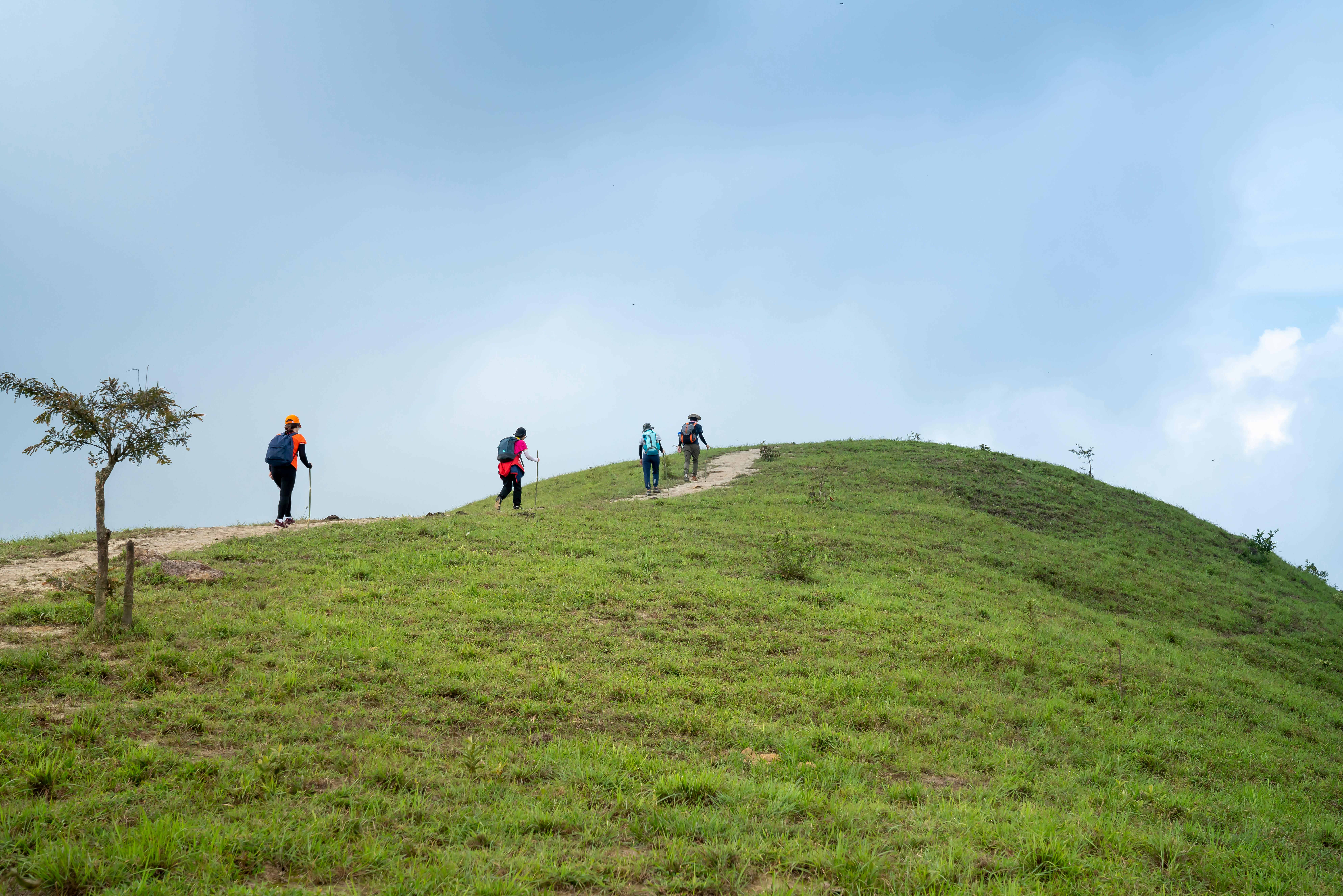 Teresek Hill trek