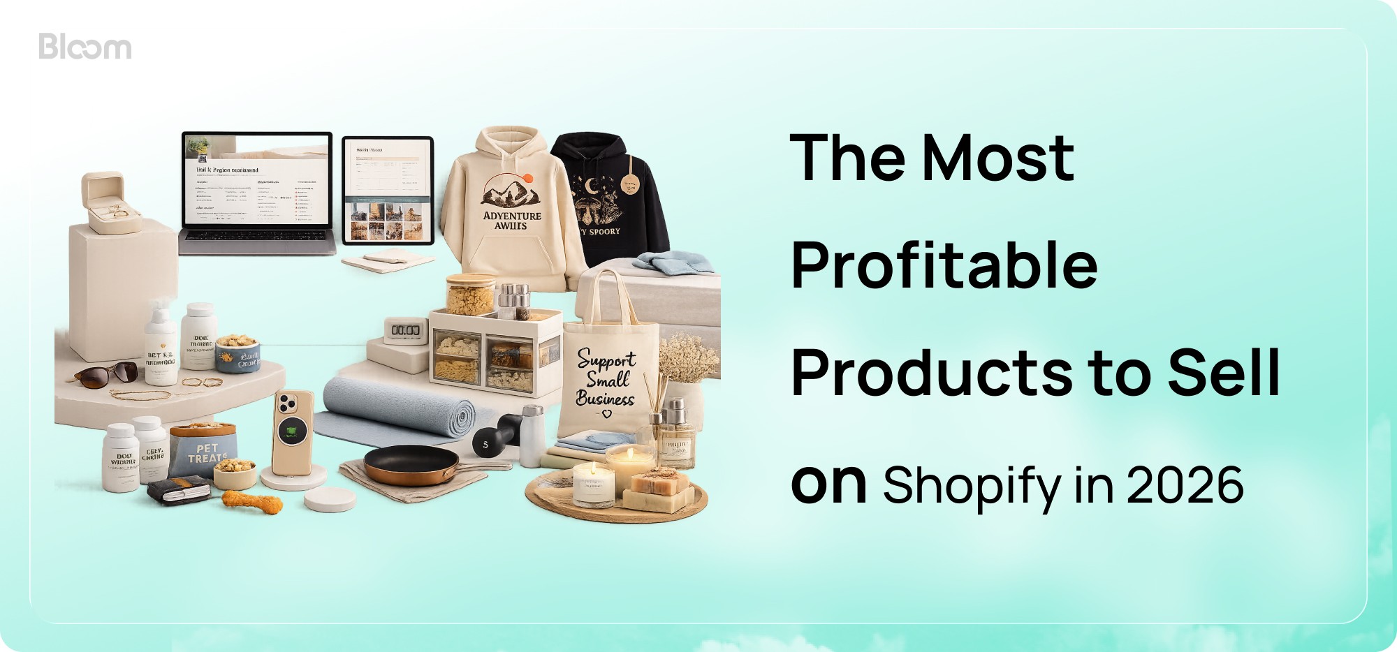 shopify profitable product