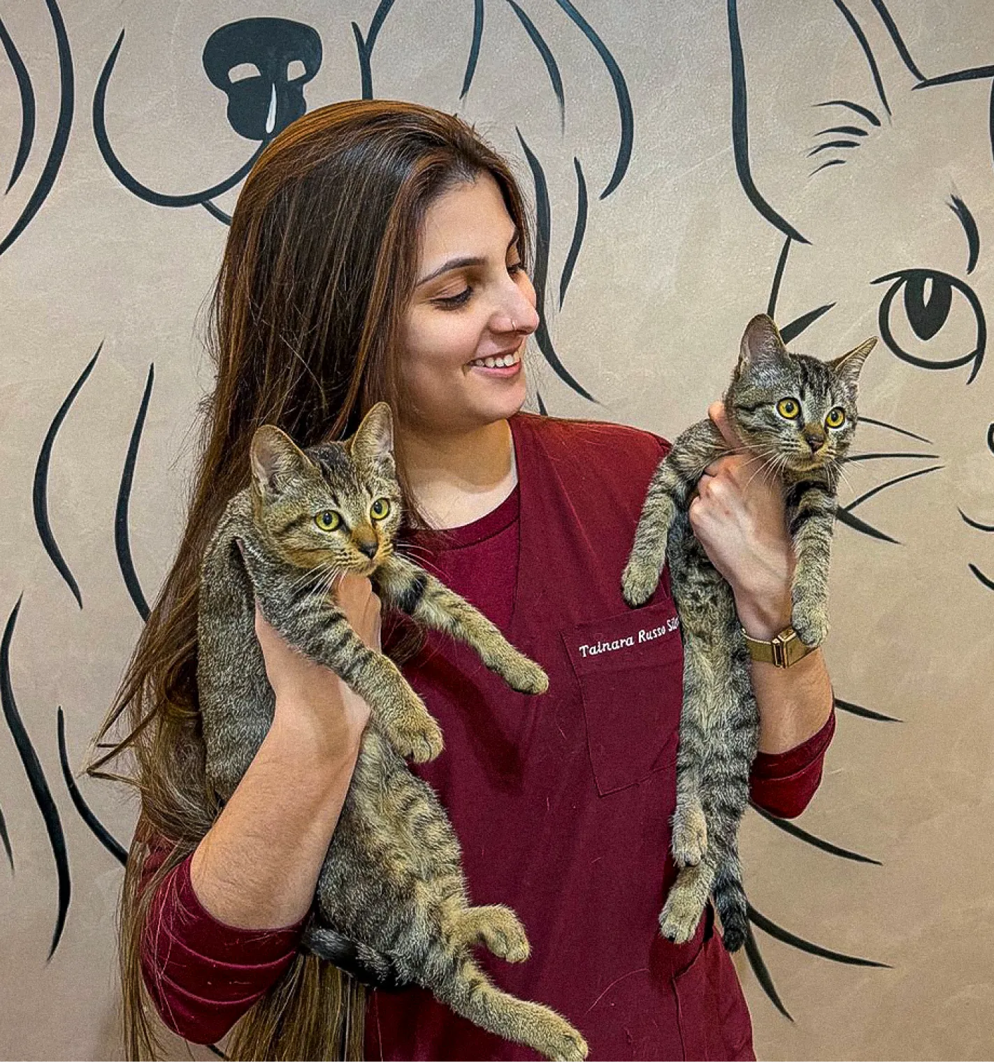 Hero Image Veterinarias