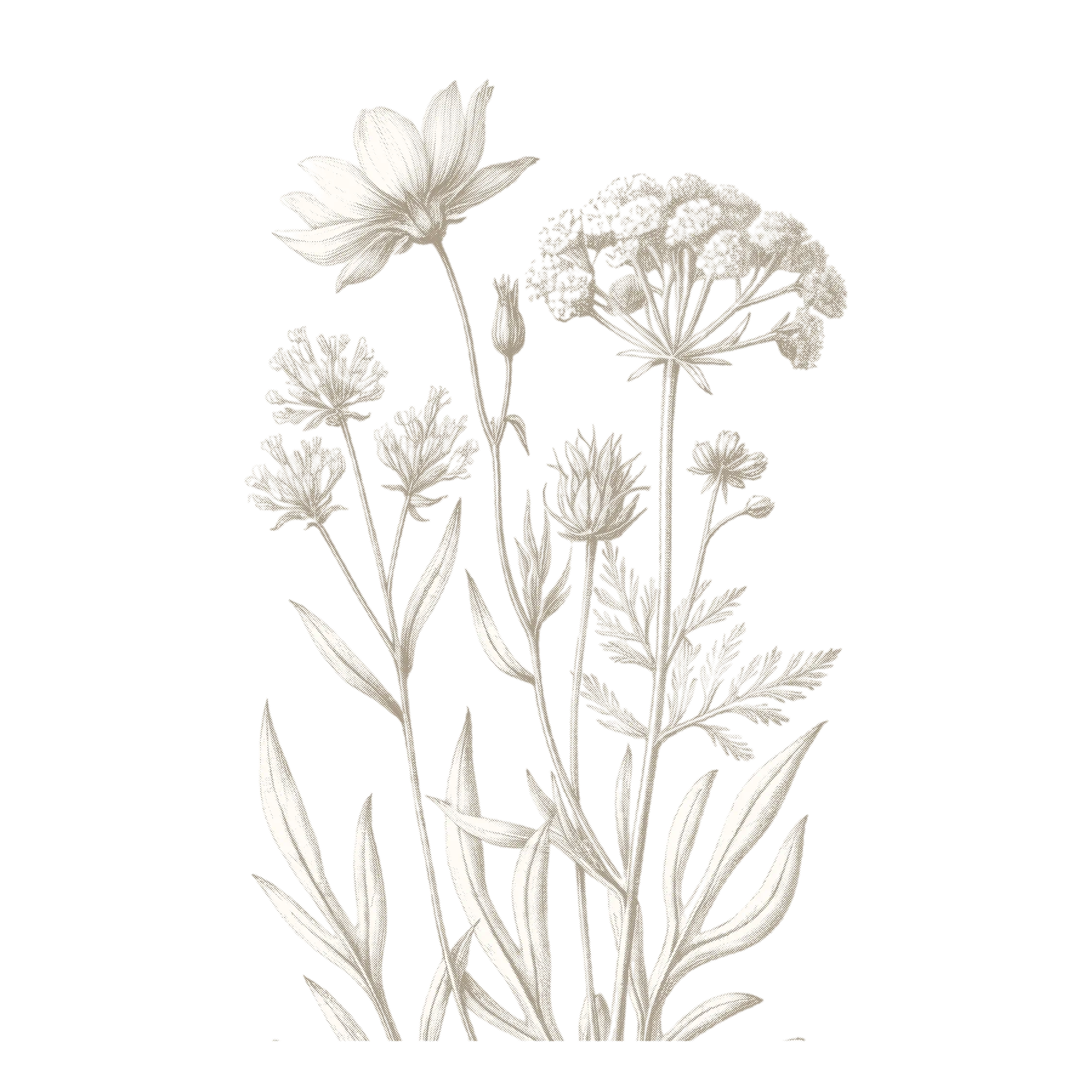 A delicate, abstract illustration featuring floral and plant motifs in soft, muted tones.