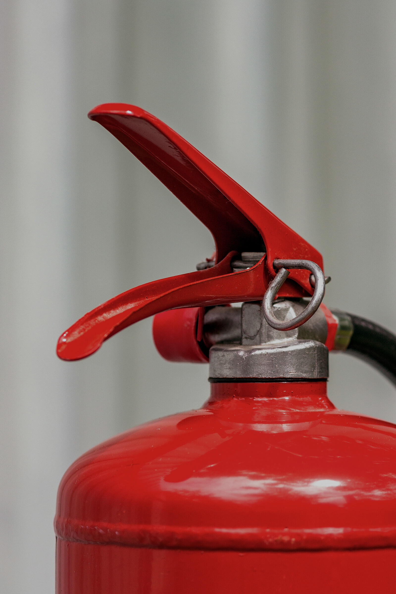 A majestic mountain peak behind wildflowers under a clear sky.