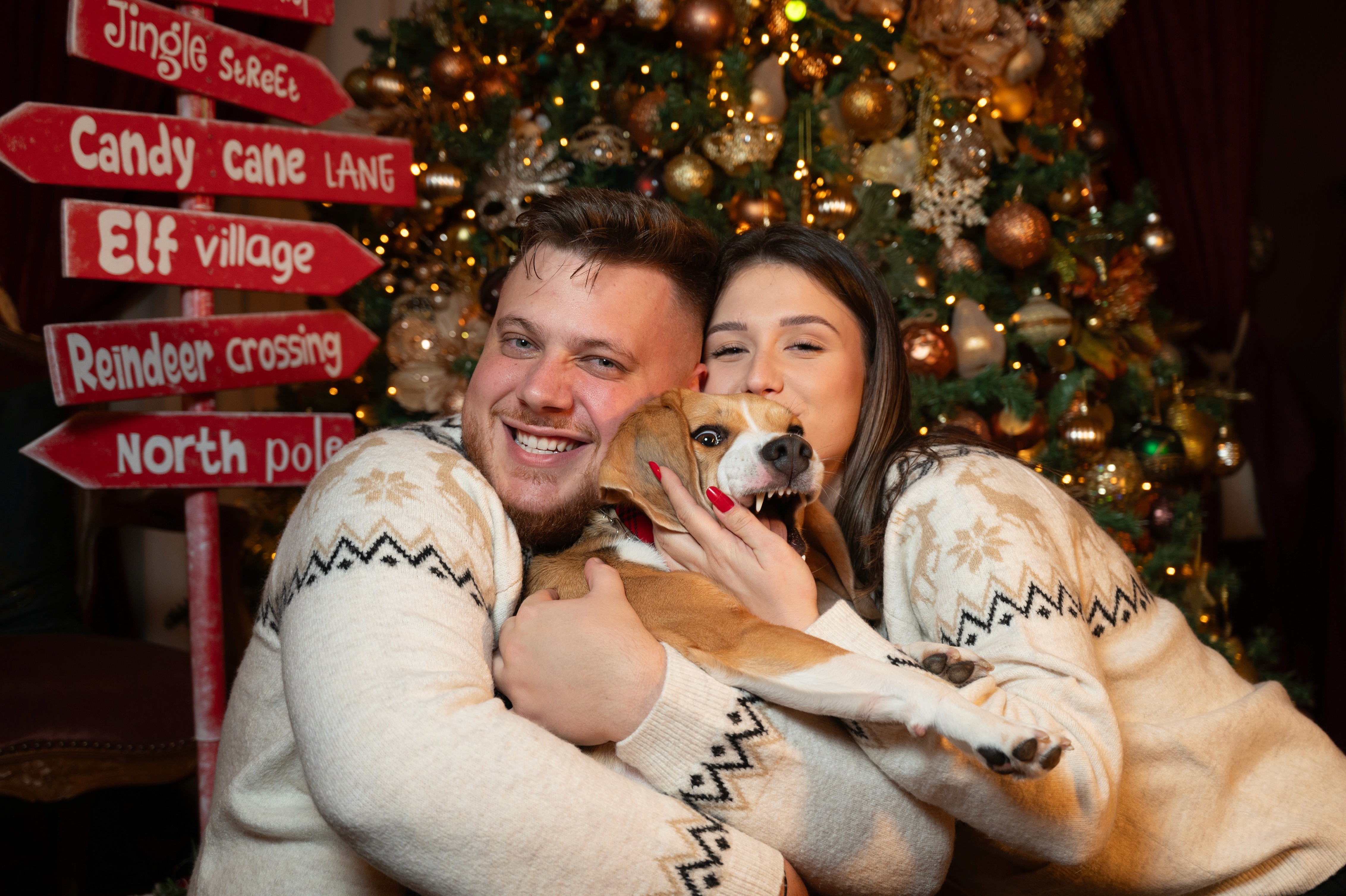 Fotografii de Crăciun cu cuplu si caine  zâmbind, moment autentic și lumină caldă