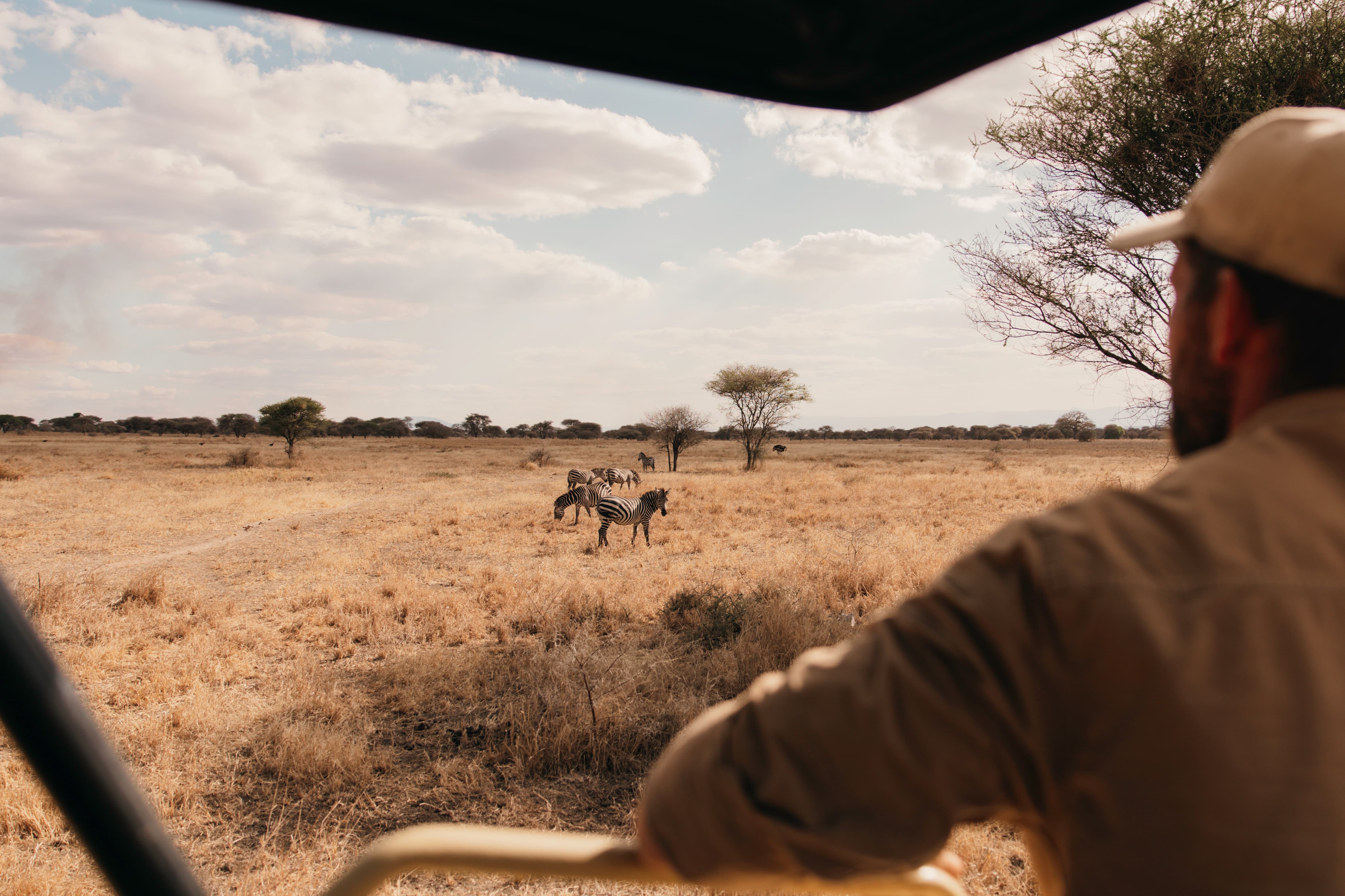 Legend client in Tarangire