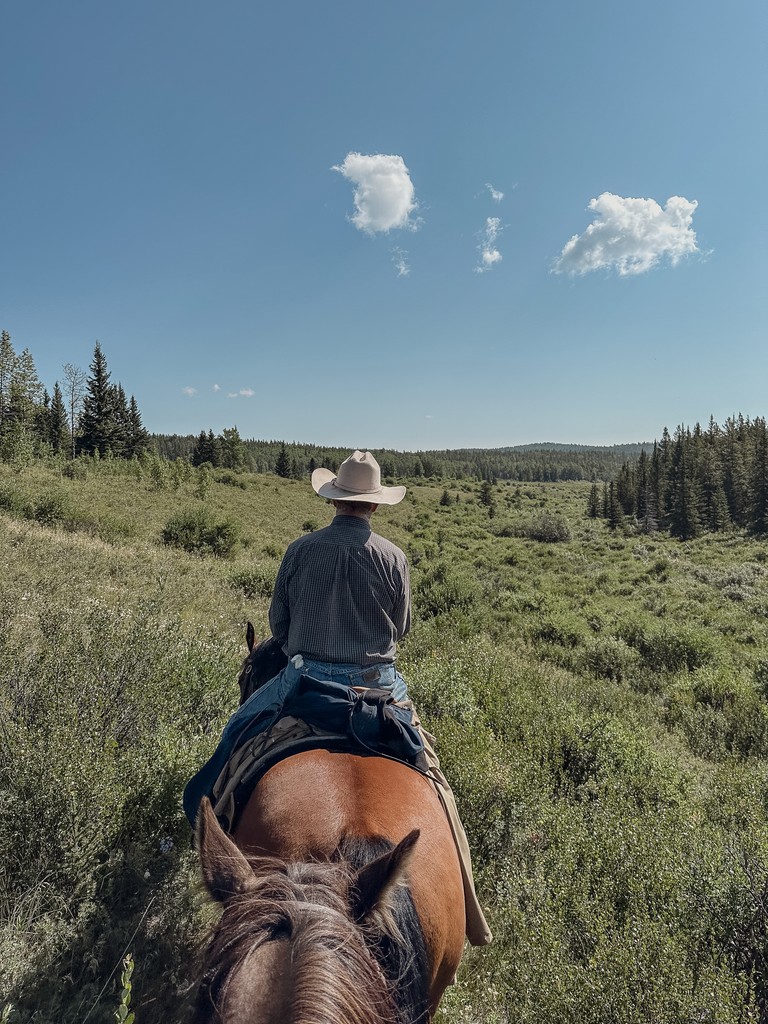 horse riding