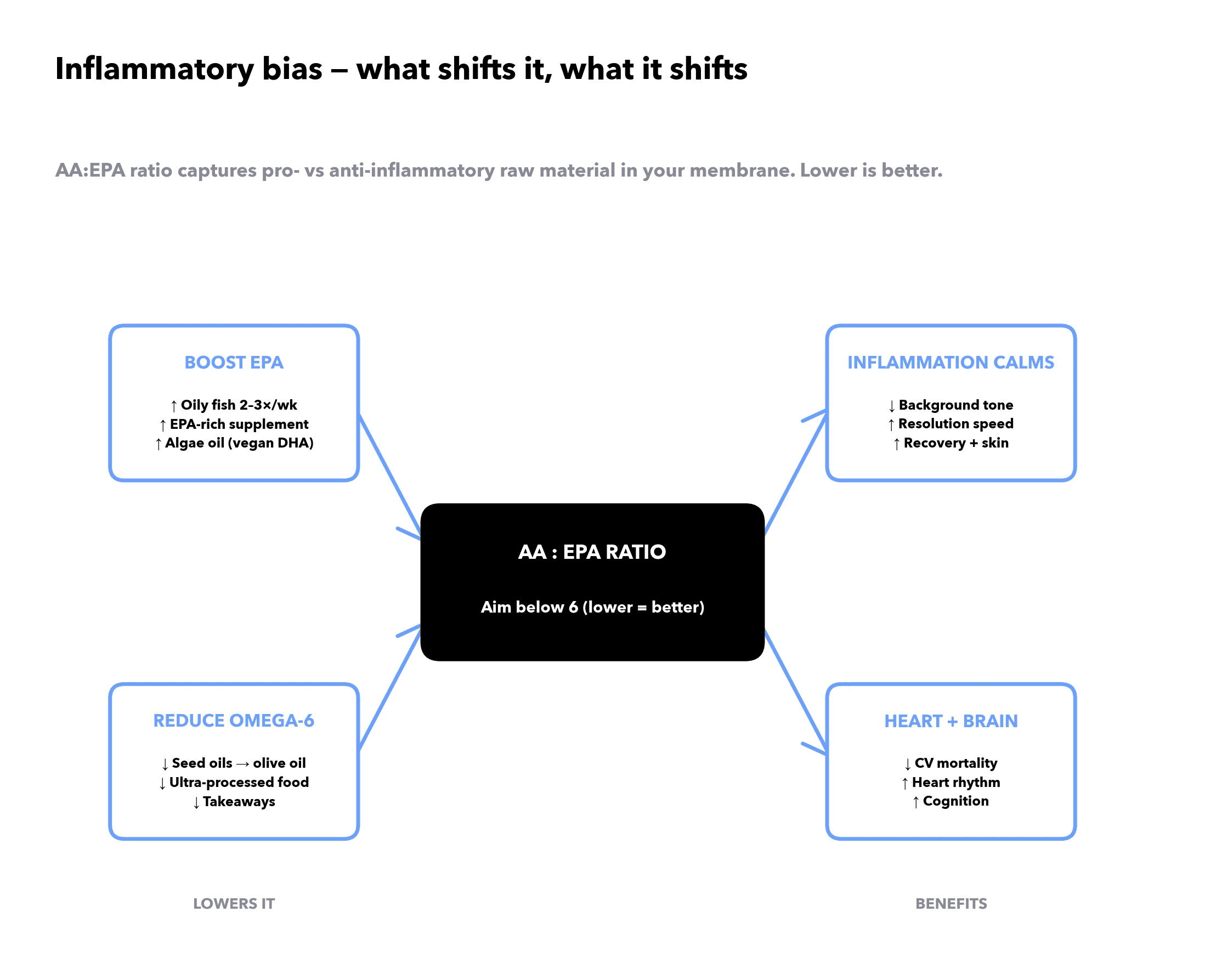 "AA:EPA ratio framework — what lowers your inflammatory bias (boost EPA via oily fish and supplements; reduce omega-6 from seed oils and ultra-processed food) and what a lower ratio buys ▎ (inflammation resolution; heart and brain protection). Aim below 6