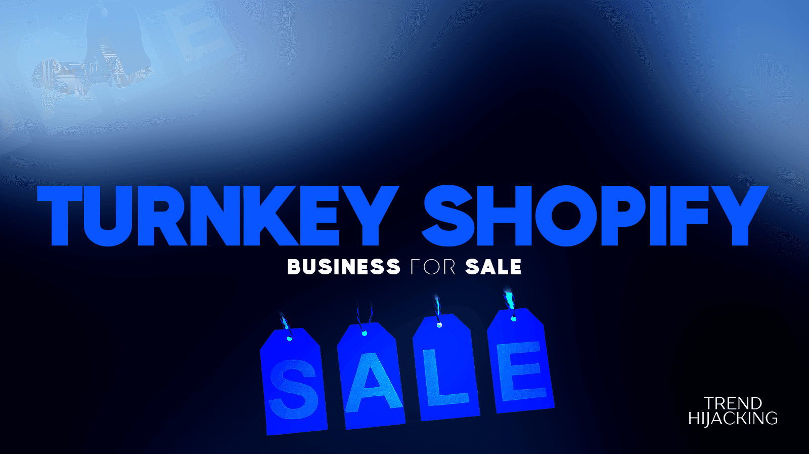 Turnkey Shopify business for sale