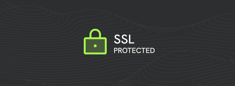 Logo SSL Datenübertragung
