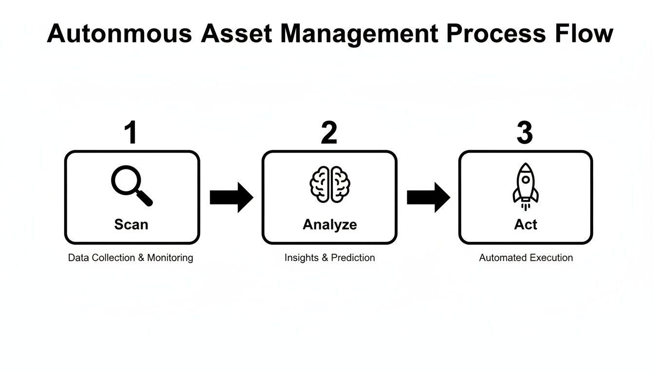 A diagram of the Autonomous Asset Management Process Flow, showing steps: Scan, Analyze, Act.