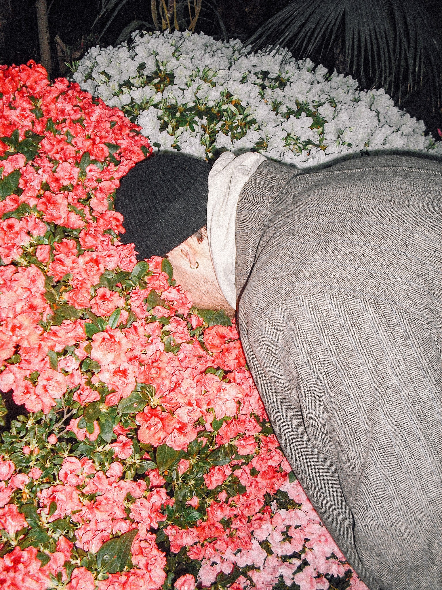 Johannes Strohbach leaning into a bed of colorful flowers, face partially hidden