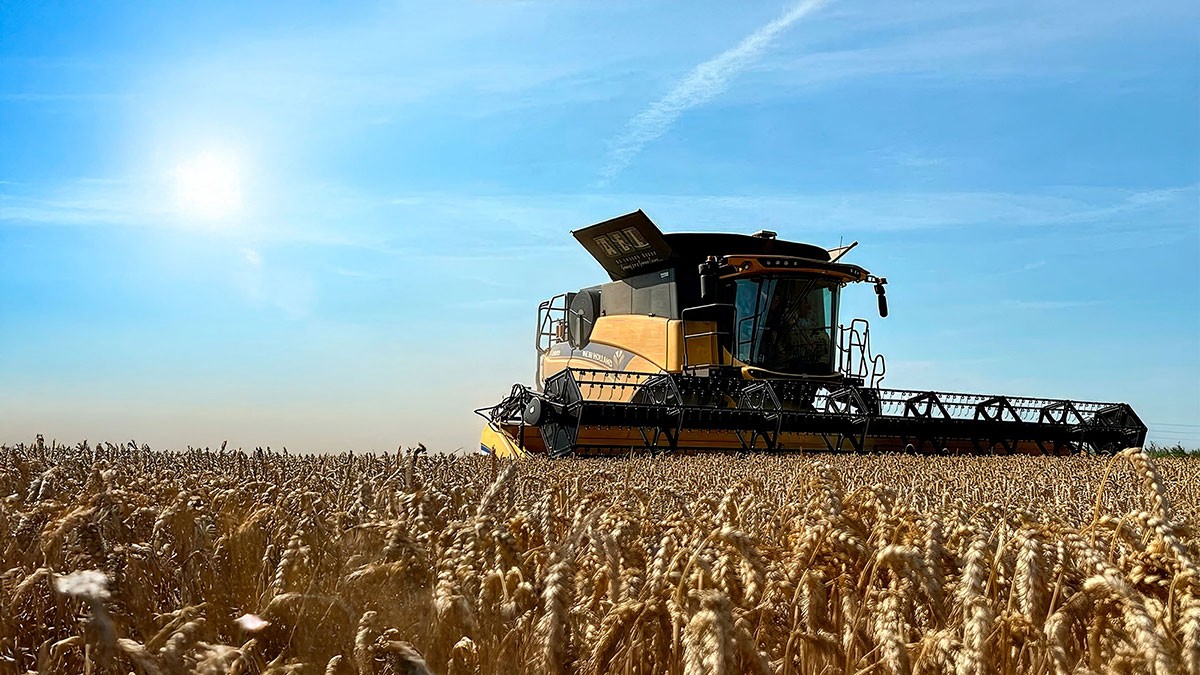 Yellow and black combine harvester cutting ripe wheat field under bright blue sky with sun