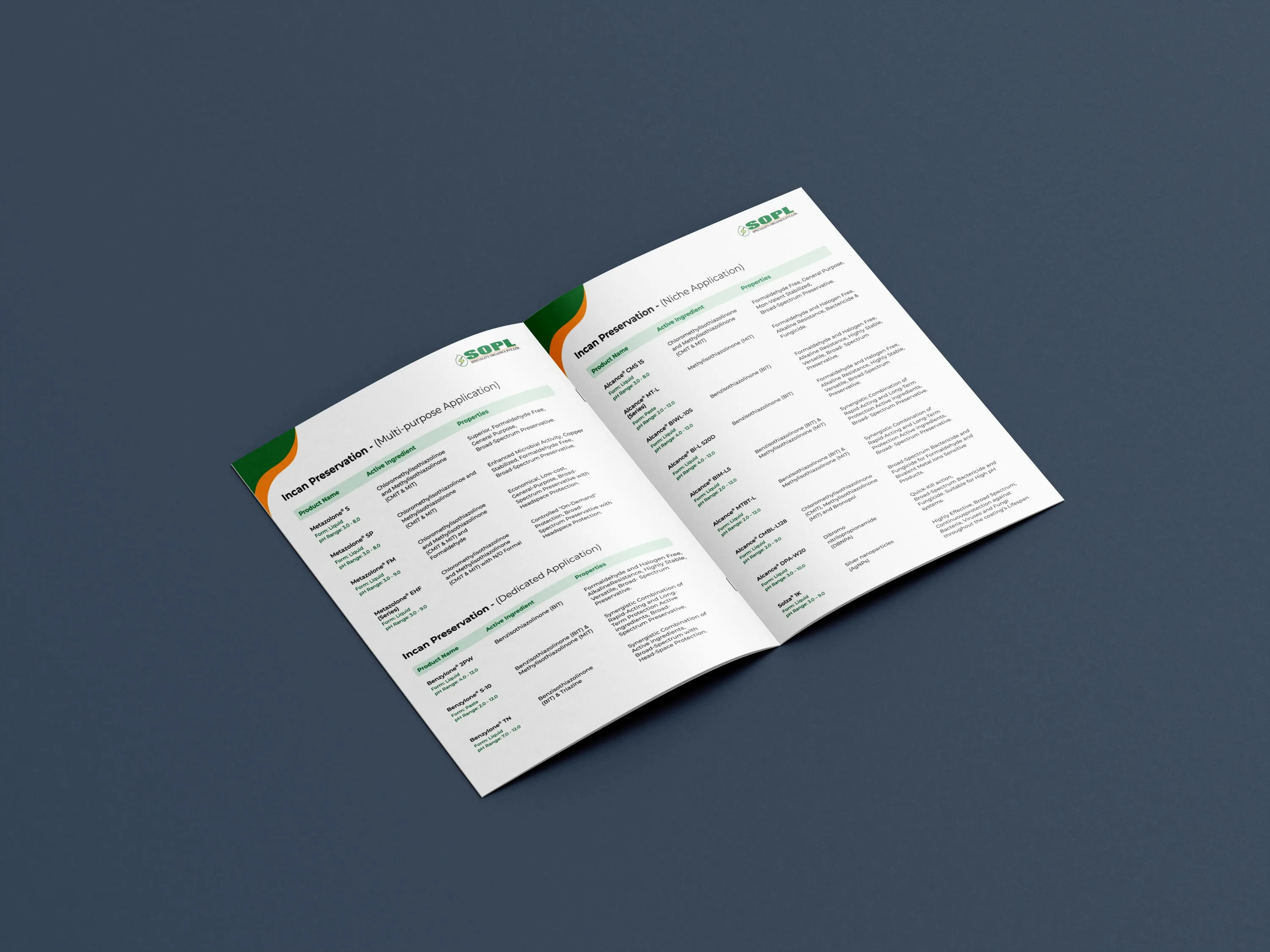 Open two-page corporate brochure on a dark blue background, with dense text, green and orange accents, and a clean, professional design.