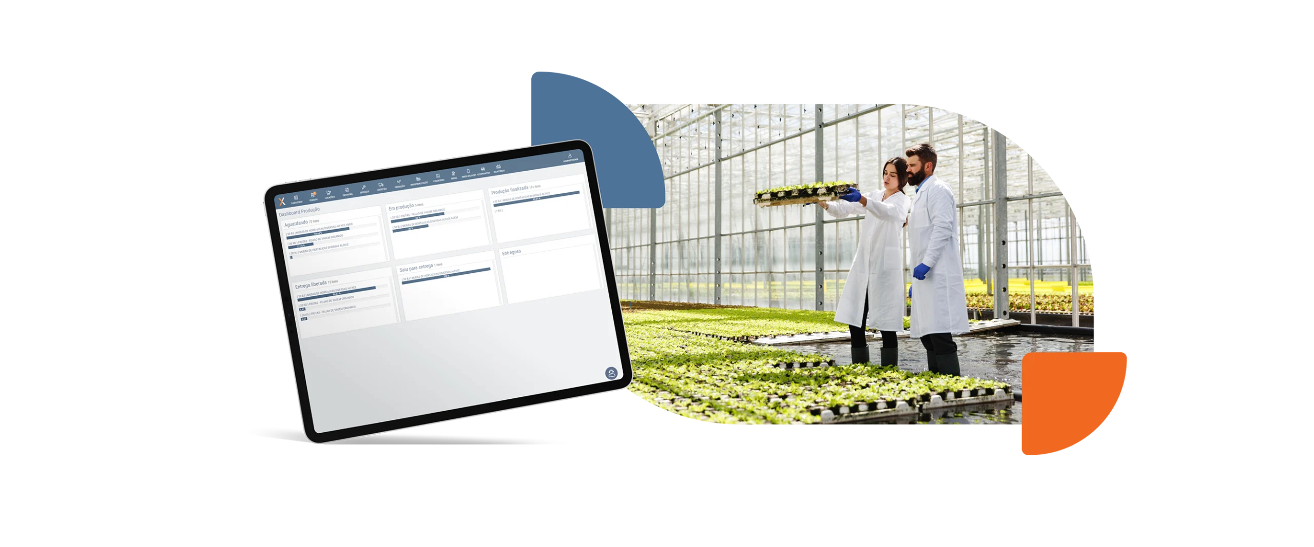 Otimize sua produção de mudas e hortaliças — Linvix