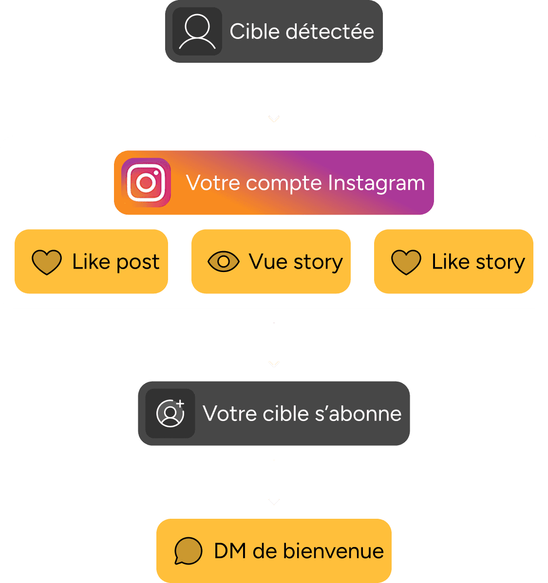 Schéma des routines d'engagement sur Instagram