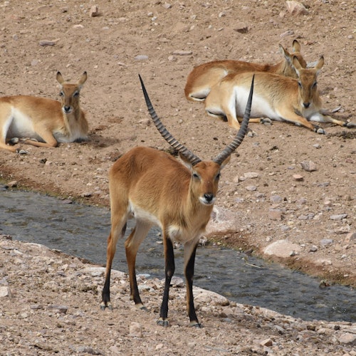 Terra Natura Murcia: Entry Tickets in Murcia