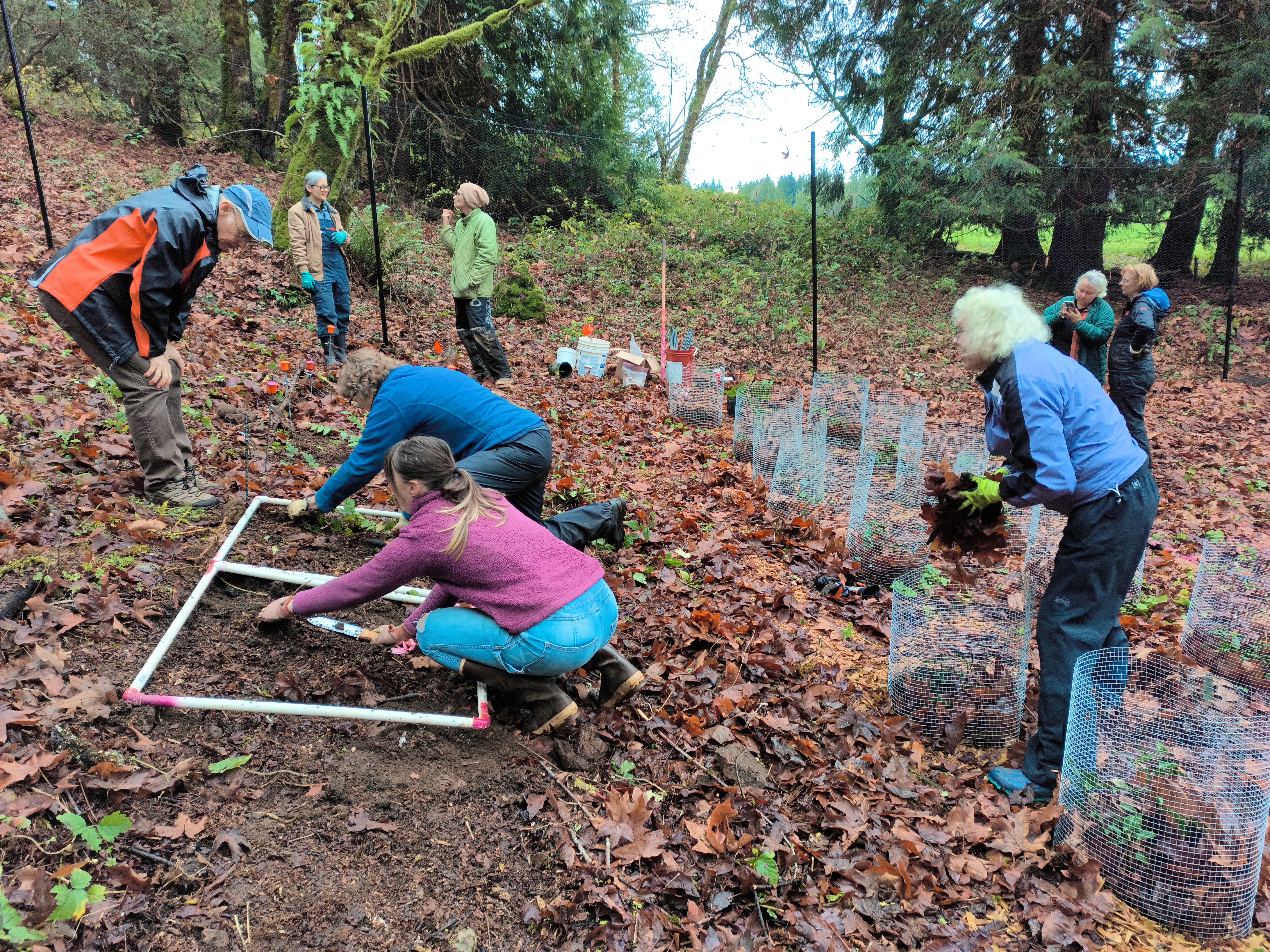 People planting & gathering mulch