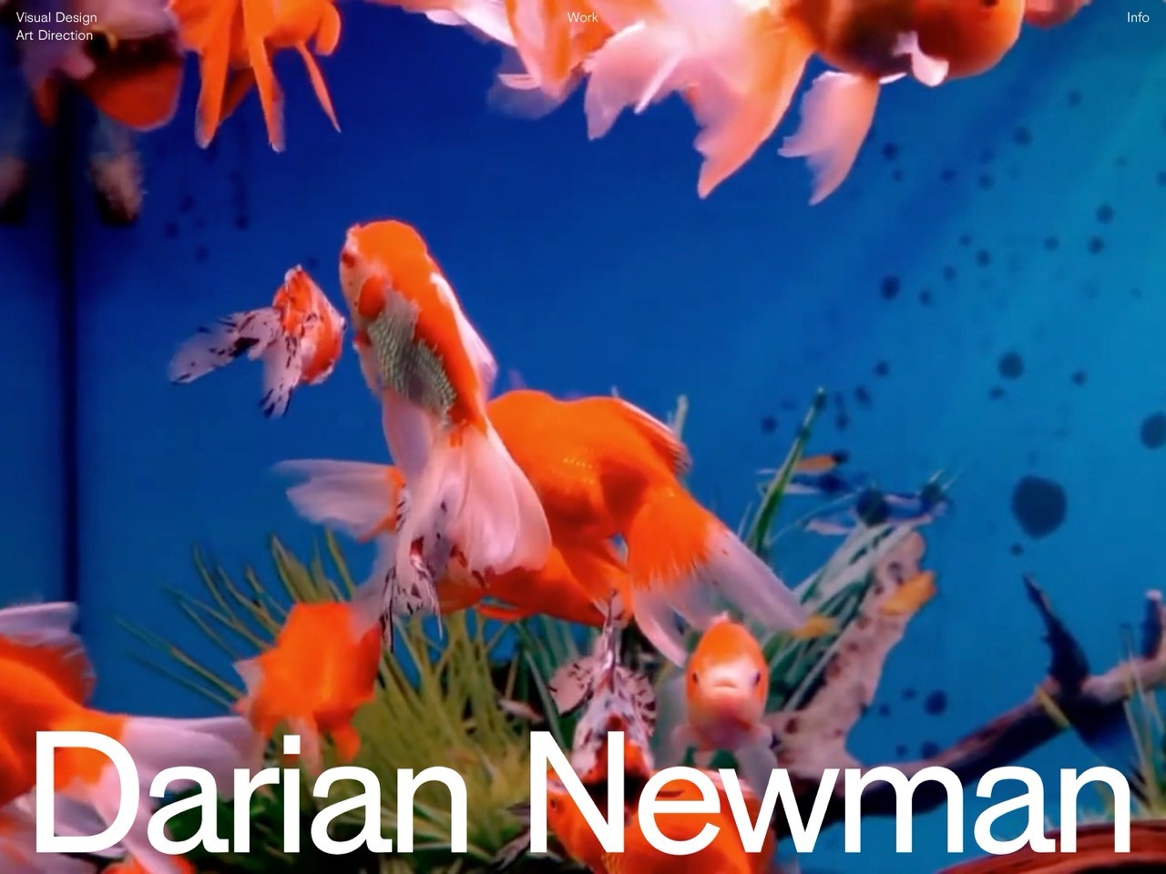 Darian Newman - Landing Page