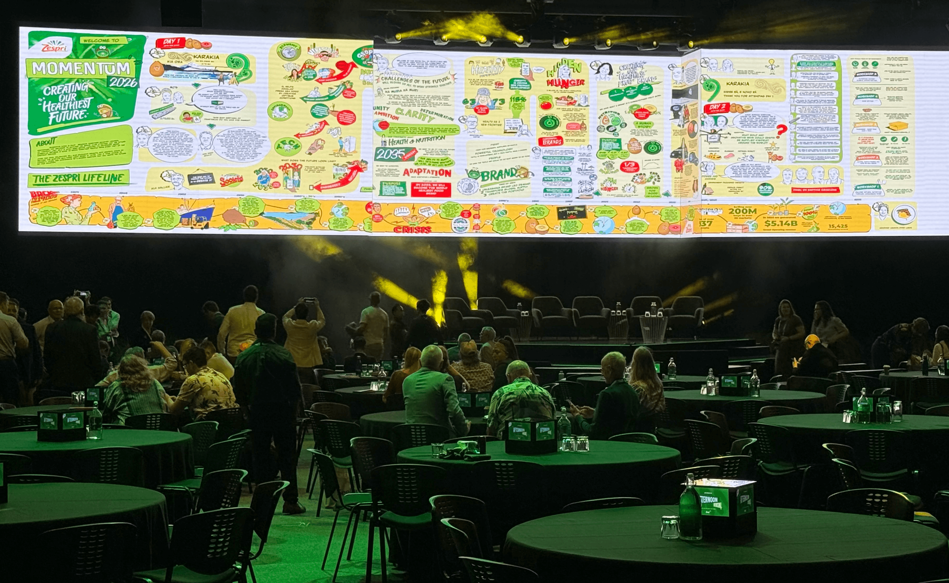 Visual Scibe Graphic Recording Auckland NZ