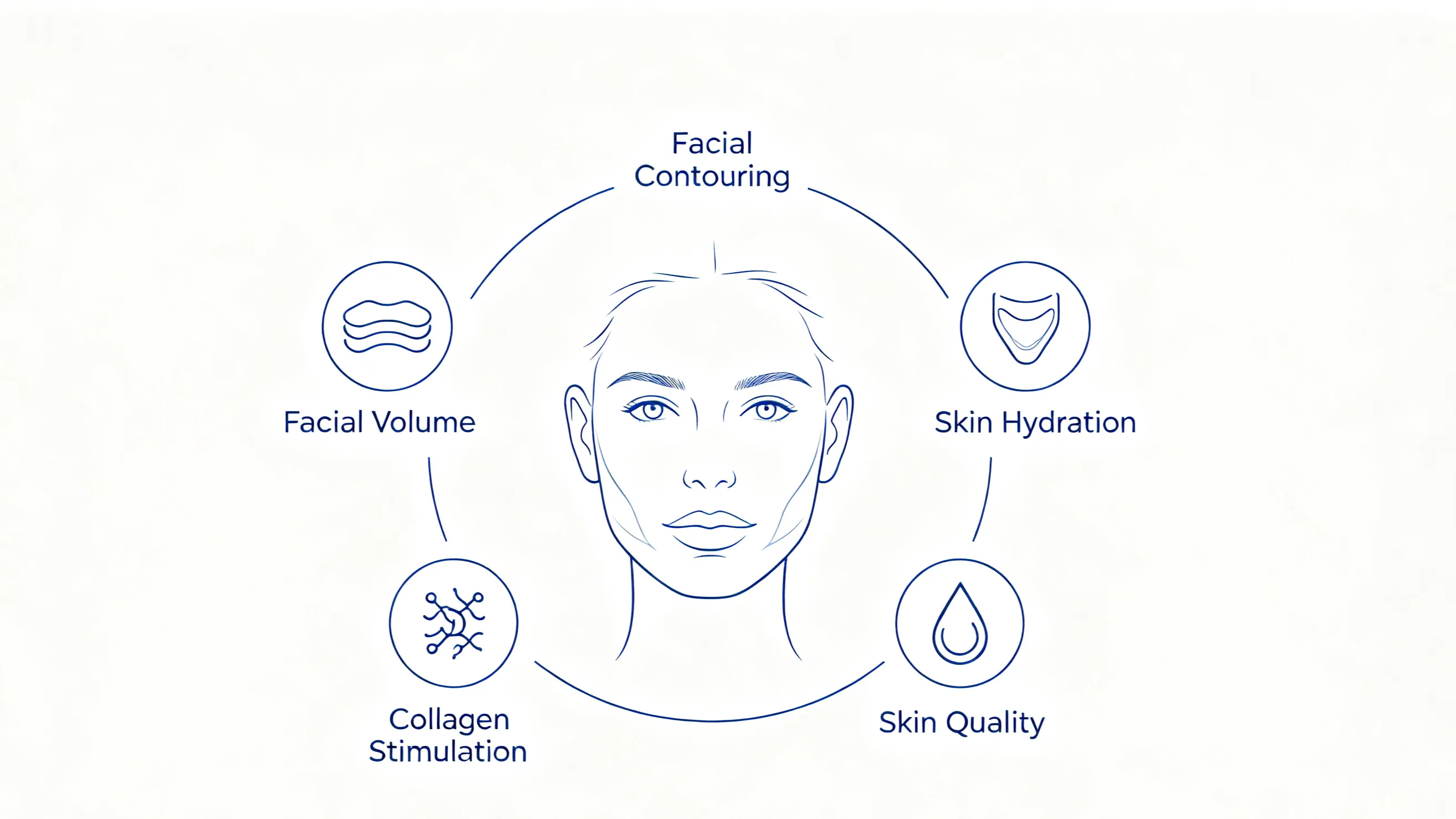 Injectable aesthetic treatment goals and product categories