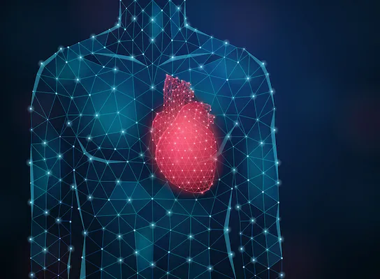 Image of heart in a body from http://www.freepik.com, Designed by macrovector / Freepik