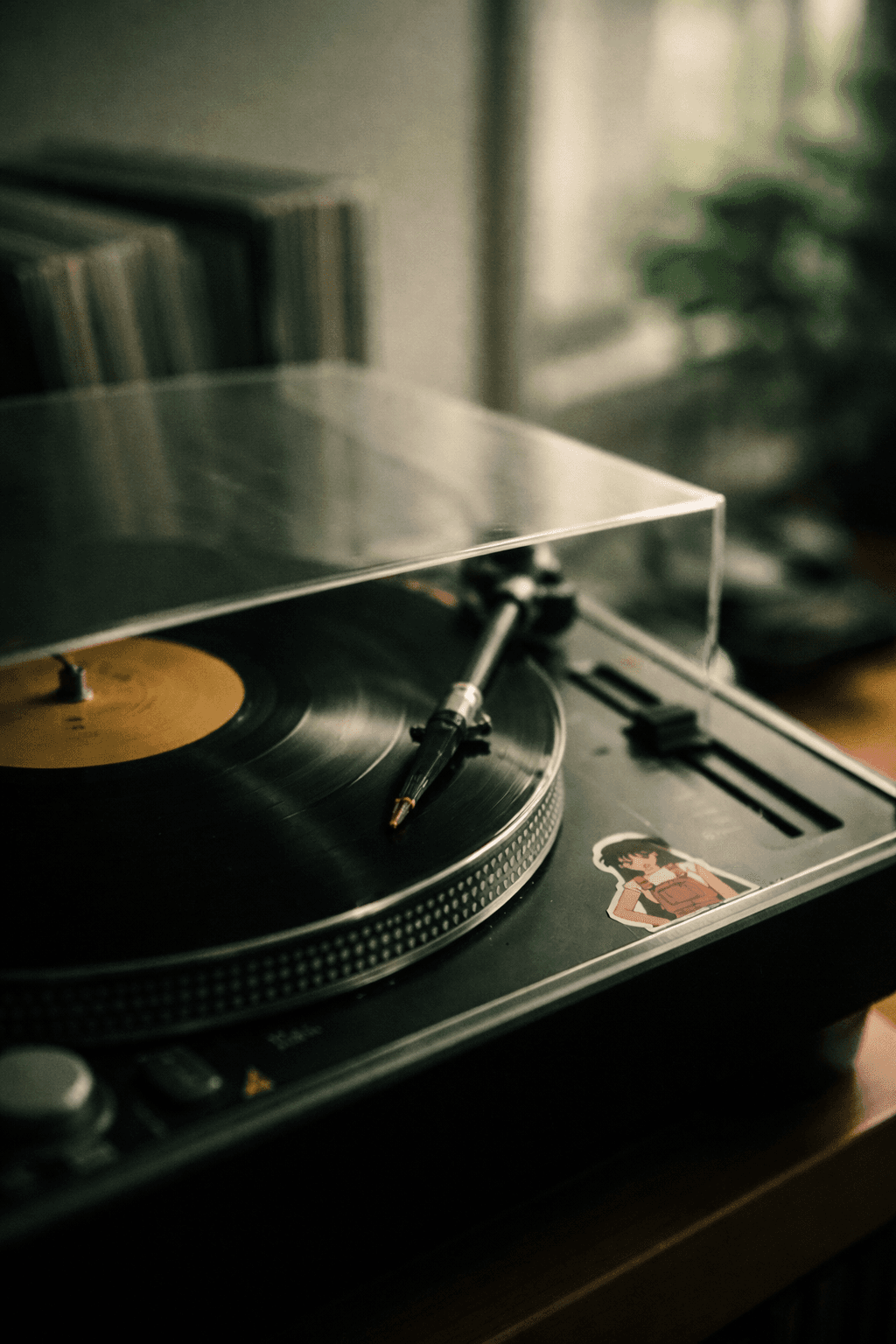 Close-up of vinyl records stored upright in a shelf with warm, nostalgic lighting.