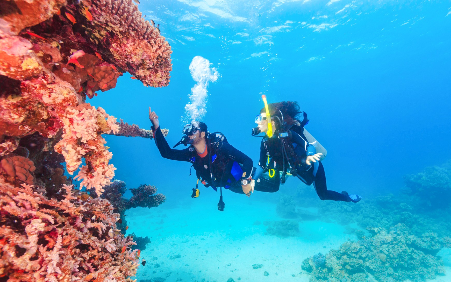 Divers exploring coral reef and fish in the Red Sea, Ras Mohamed, Sharm El-Sheikh.