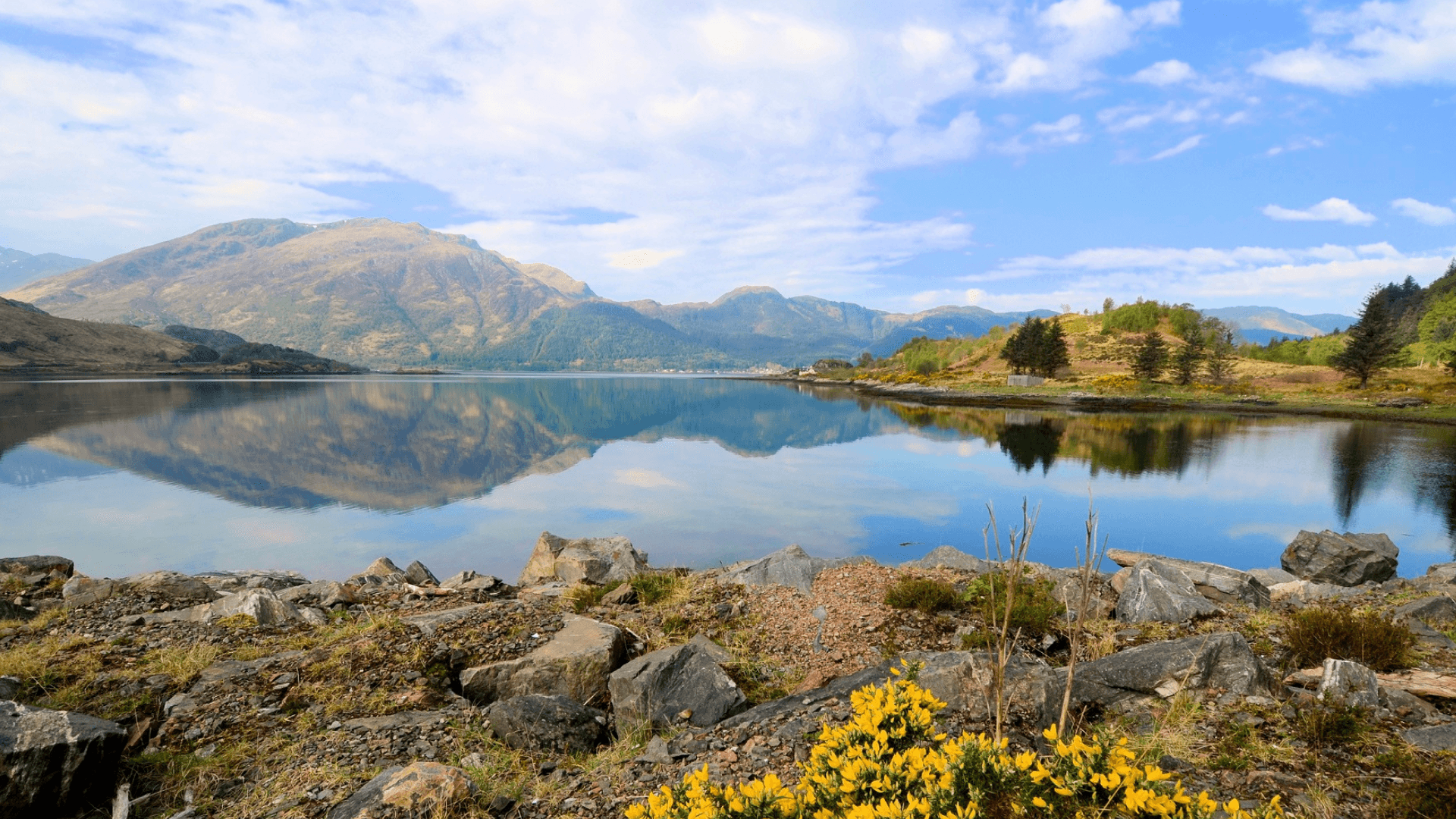An image of a nature reserve in Scotland