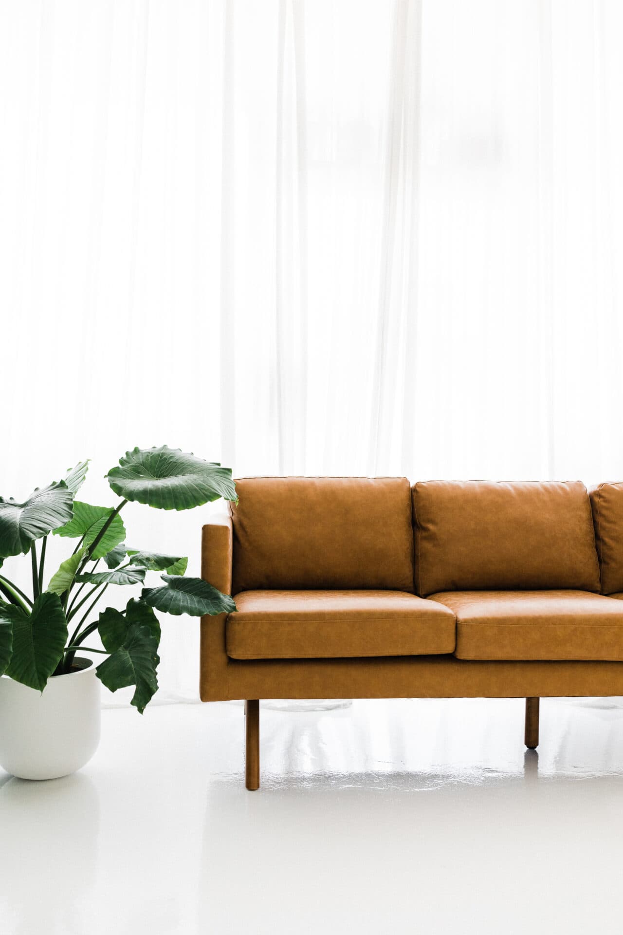 A stylish brown couch and potted plant sit in front of sheer curtains at Revelator Studio in Shreveport, showcasing the studio’s bright, minimalist aesthetic, perfect for natural light photography.