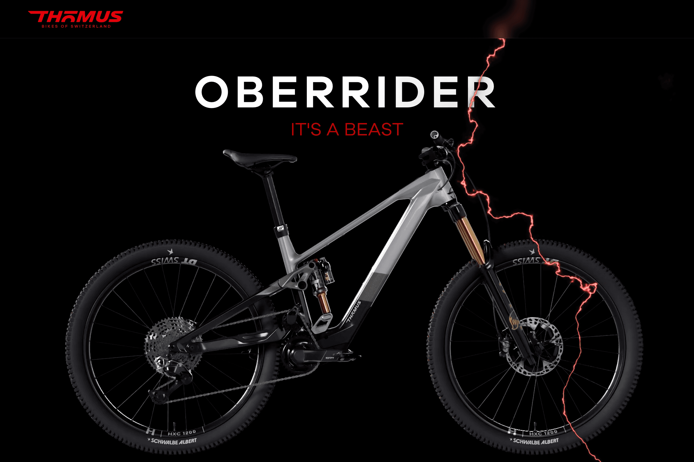 Landingpage Website-Project Thömus AG