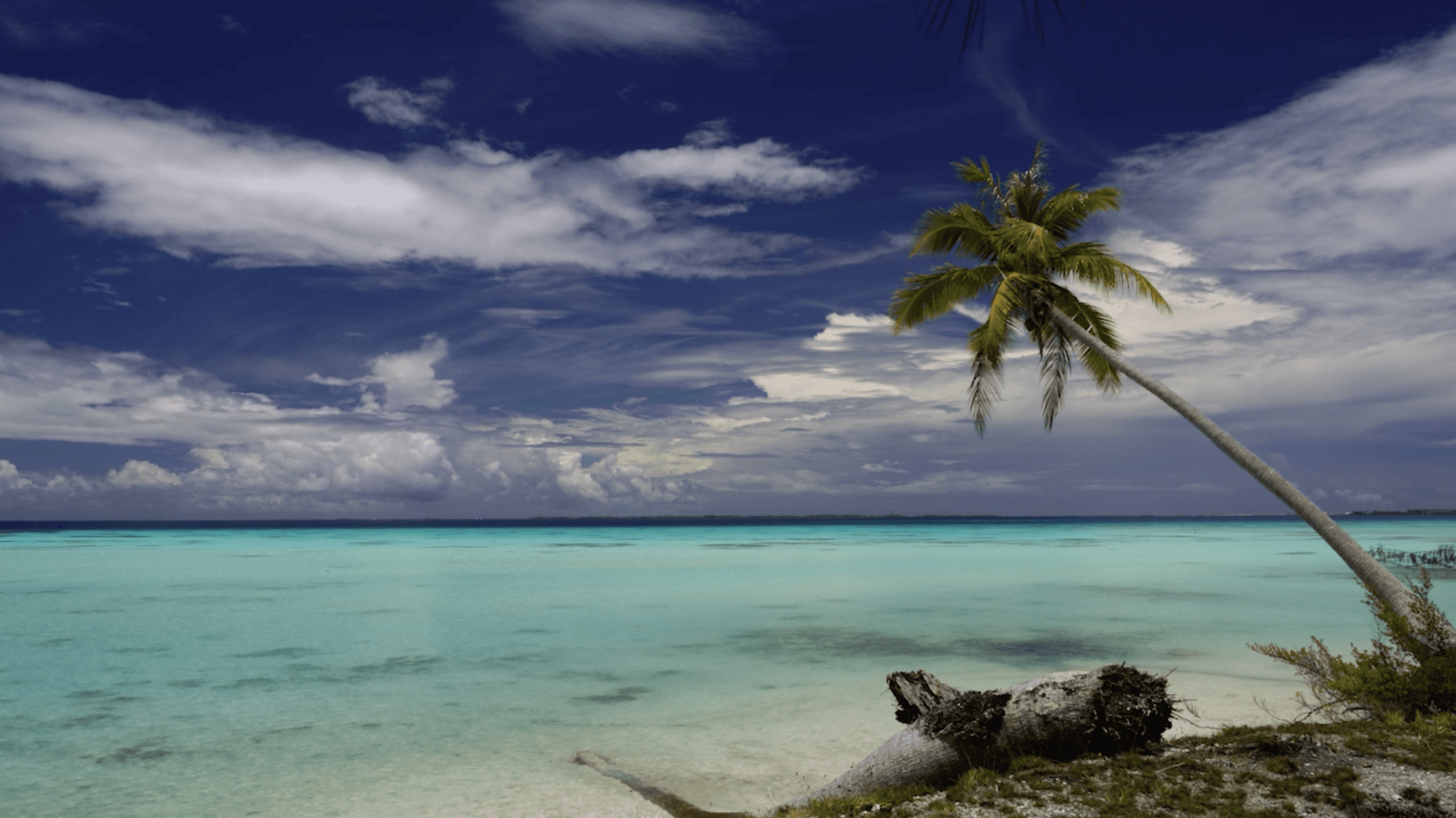 Service Photo Real Mehedi Free Framer Template Photography