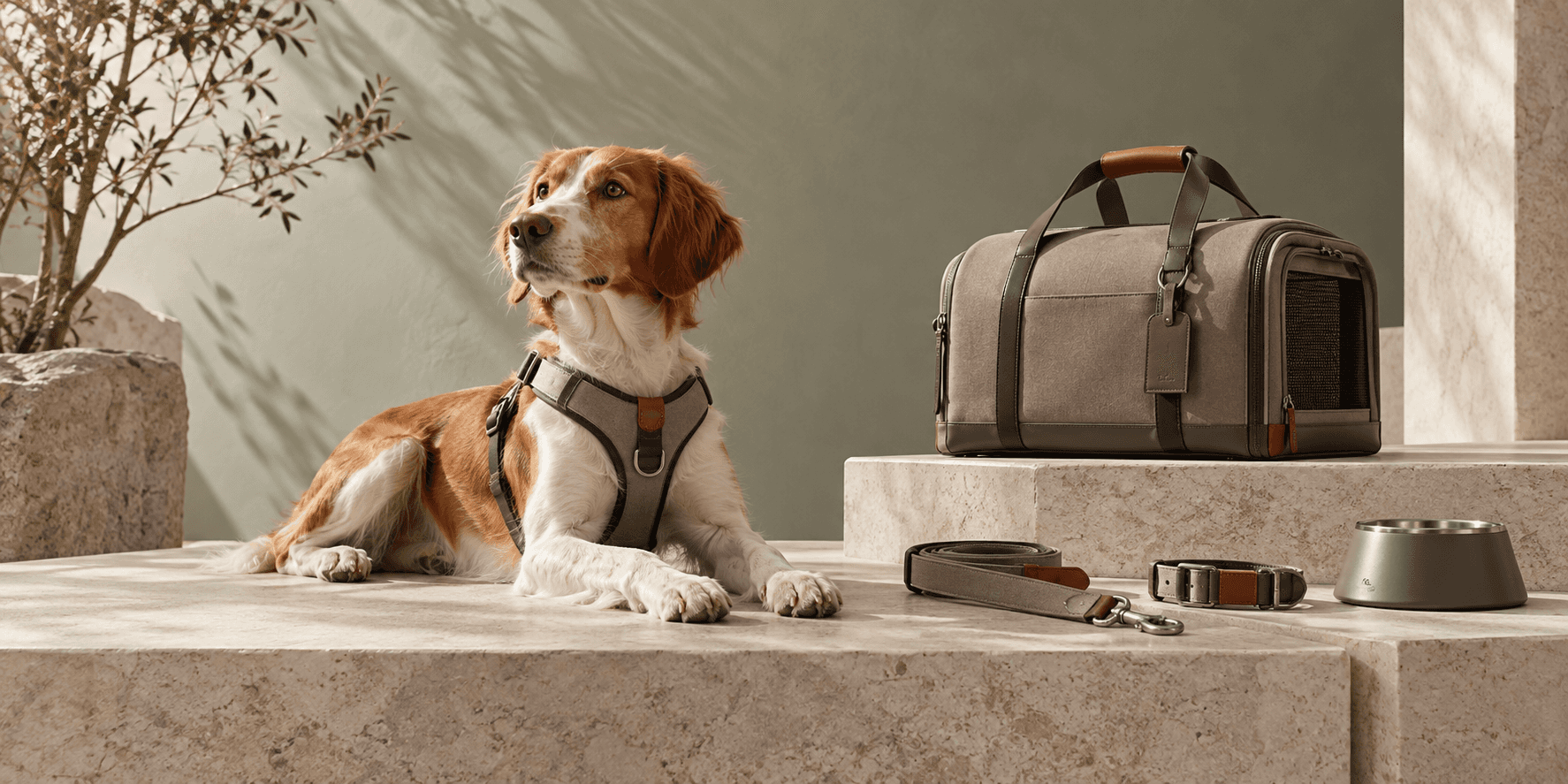 Thoughtfully designed pet harness, carrier and walking accessories